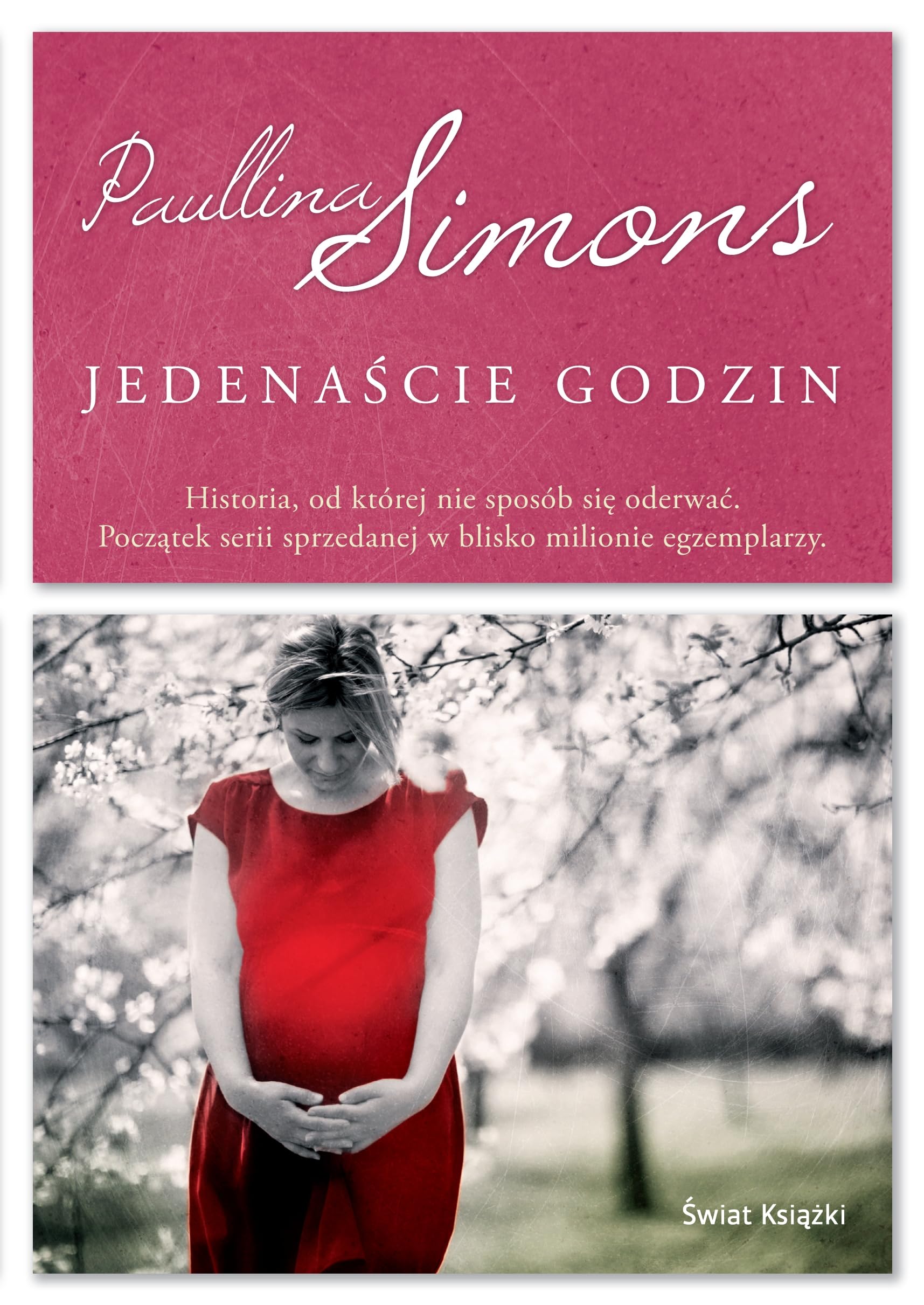 Jedenascie godzin Books