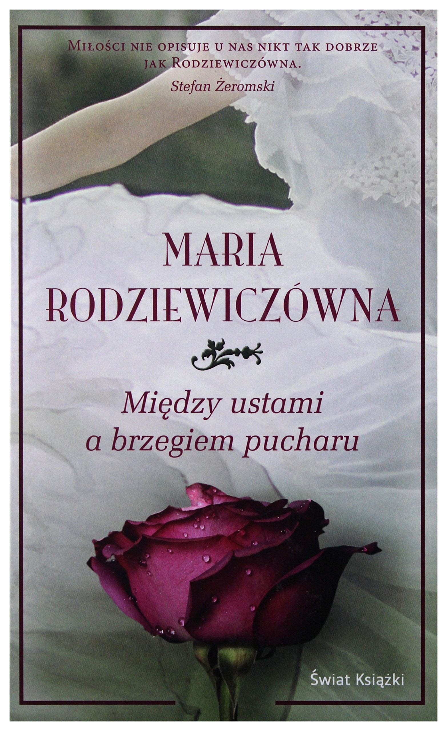 MIĘDZY USTAMI A BRZEGIEM PUCHARU (twarda) Books