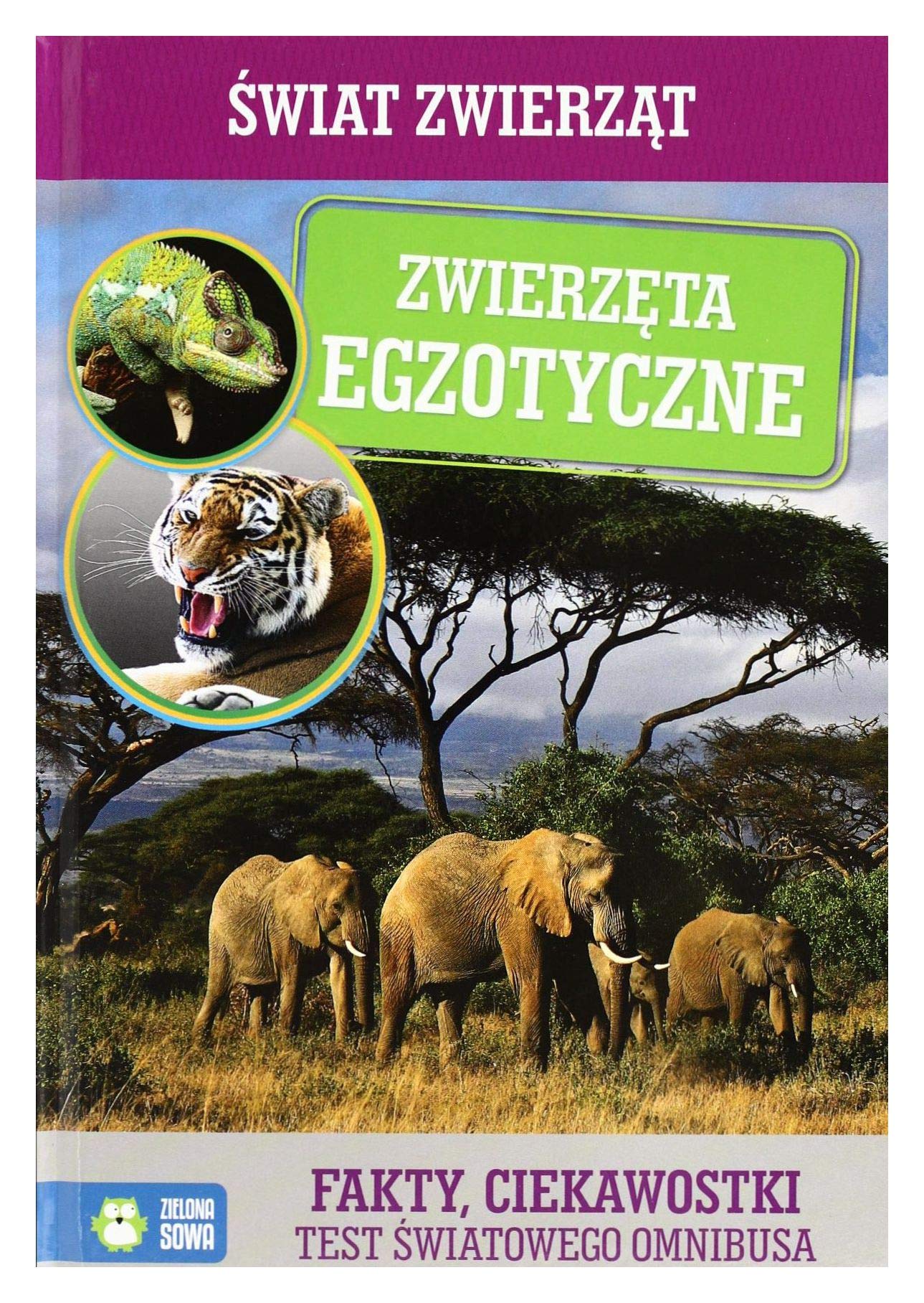 Zwierzęta Egzotyczne Świat Zwierząt Books