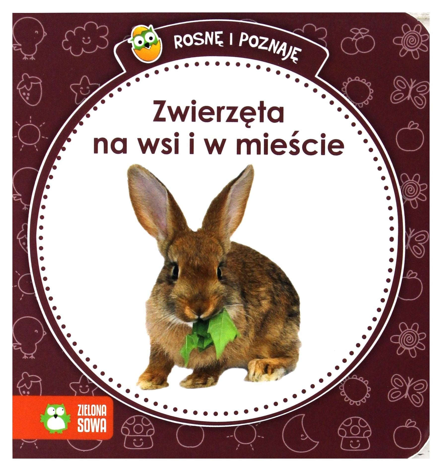 Rosnę i poznaję Zwierzęta na wsi i w mieście Books