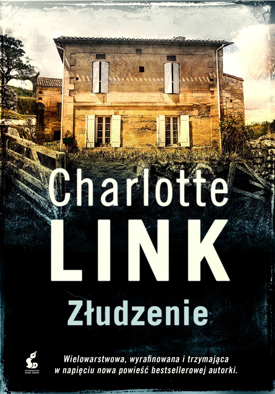 Zludzenie Contemporary literature Books