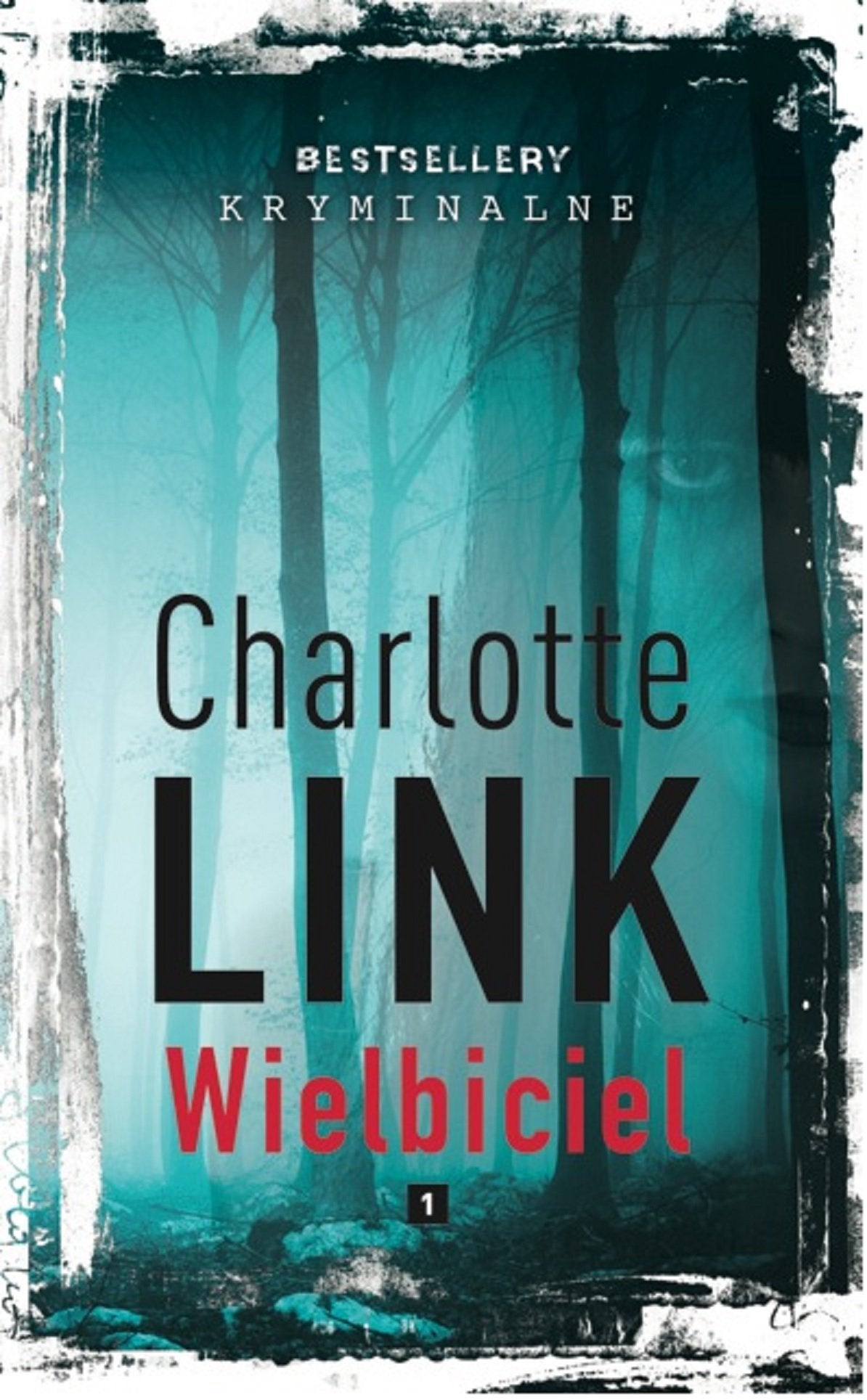 Wielbiciel (BESTSELLERY KRYMINALNE) Books