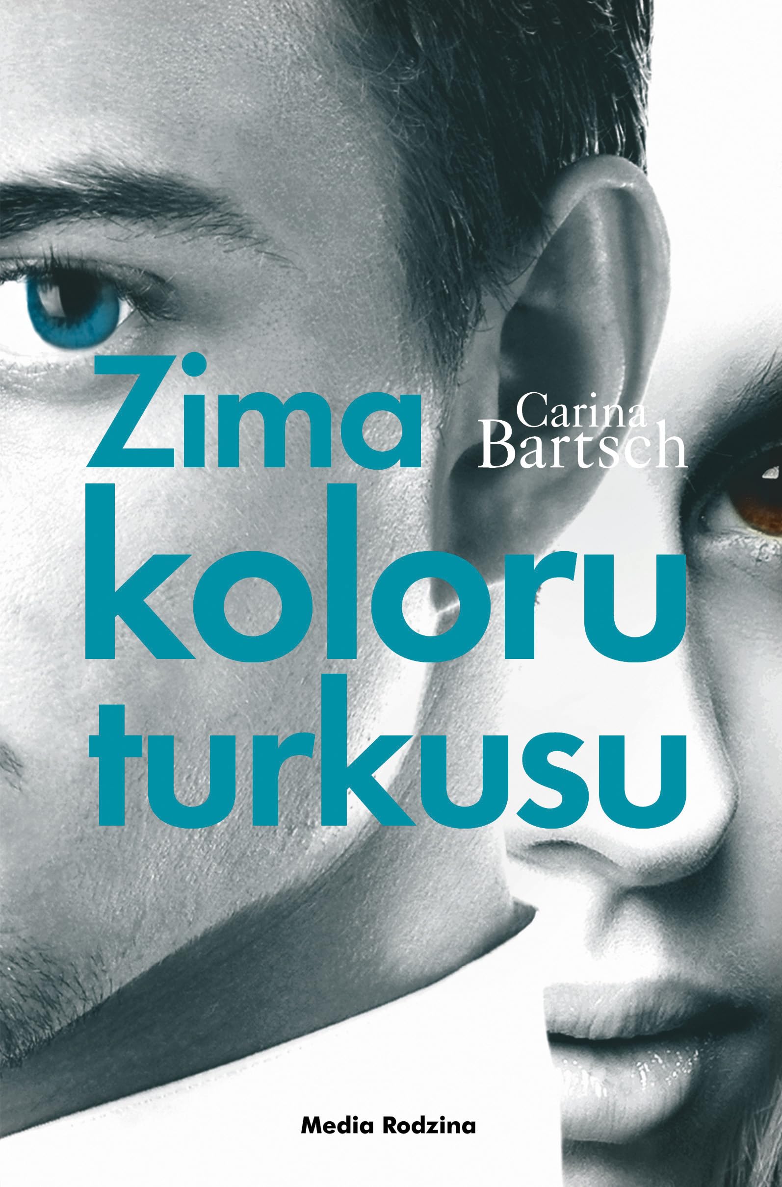 Zima koloru turkusu Contemporary literature