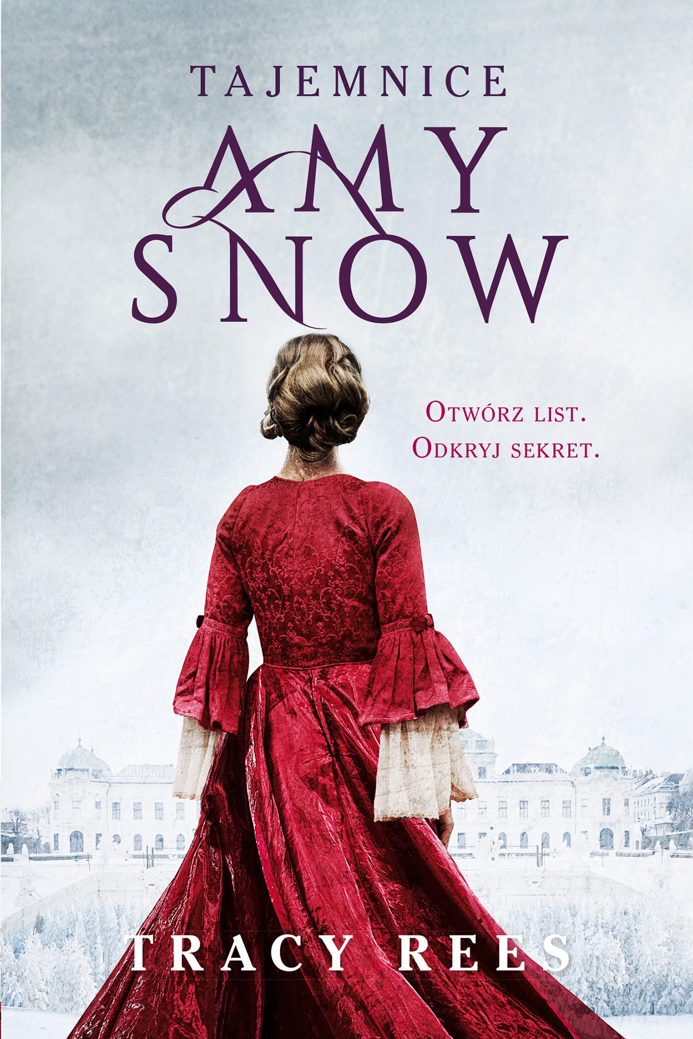Tajemnice Amy Snow book