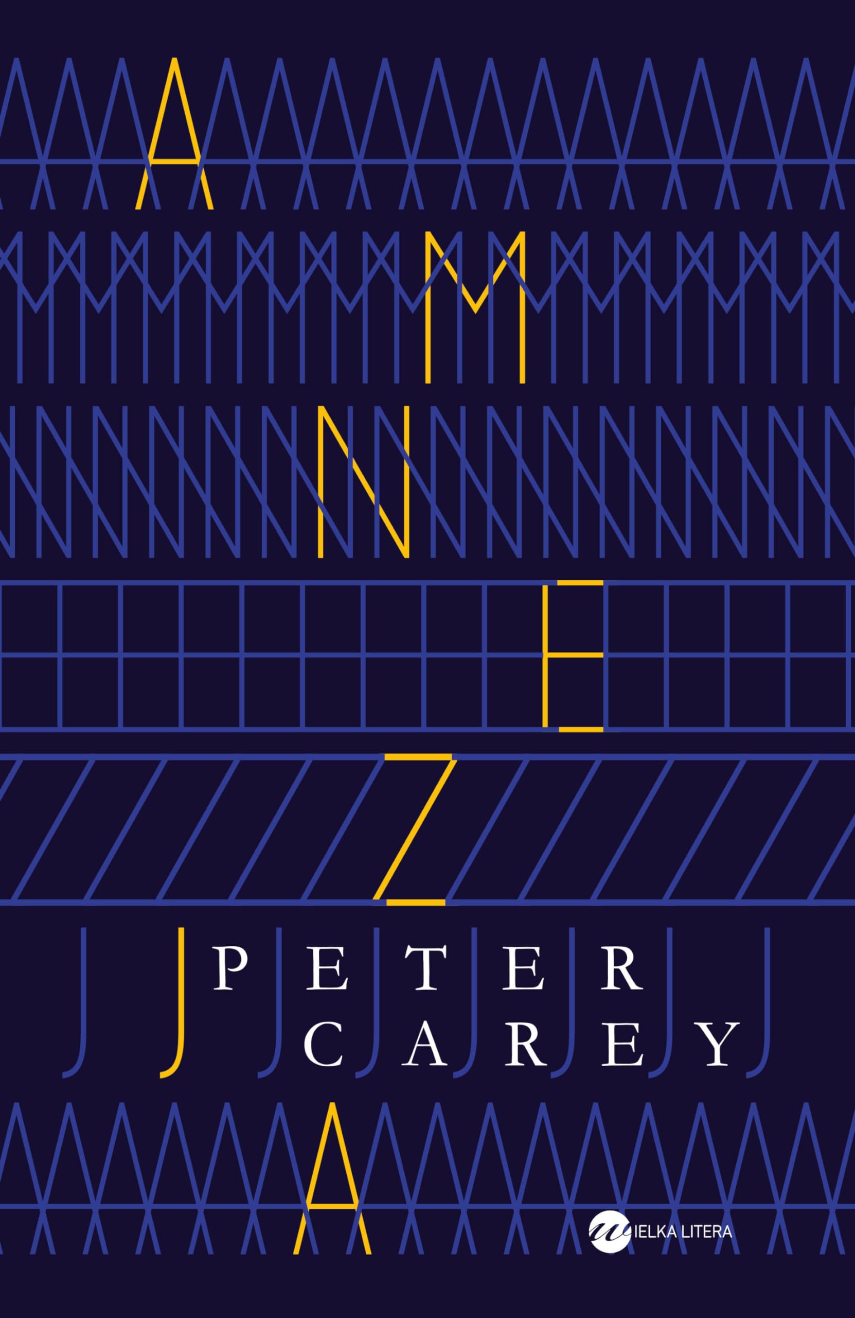 Amnezja book