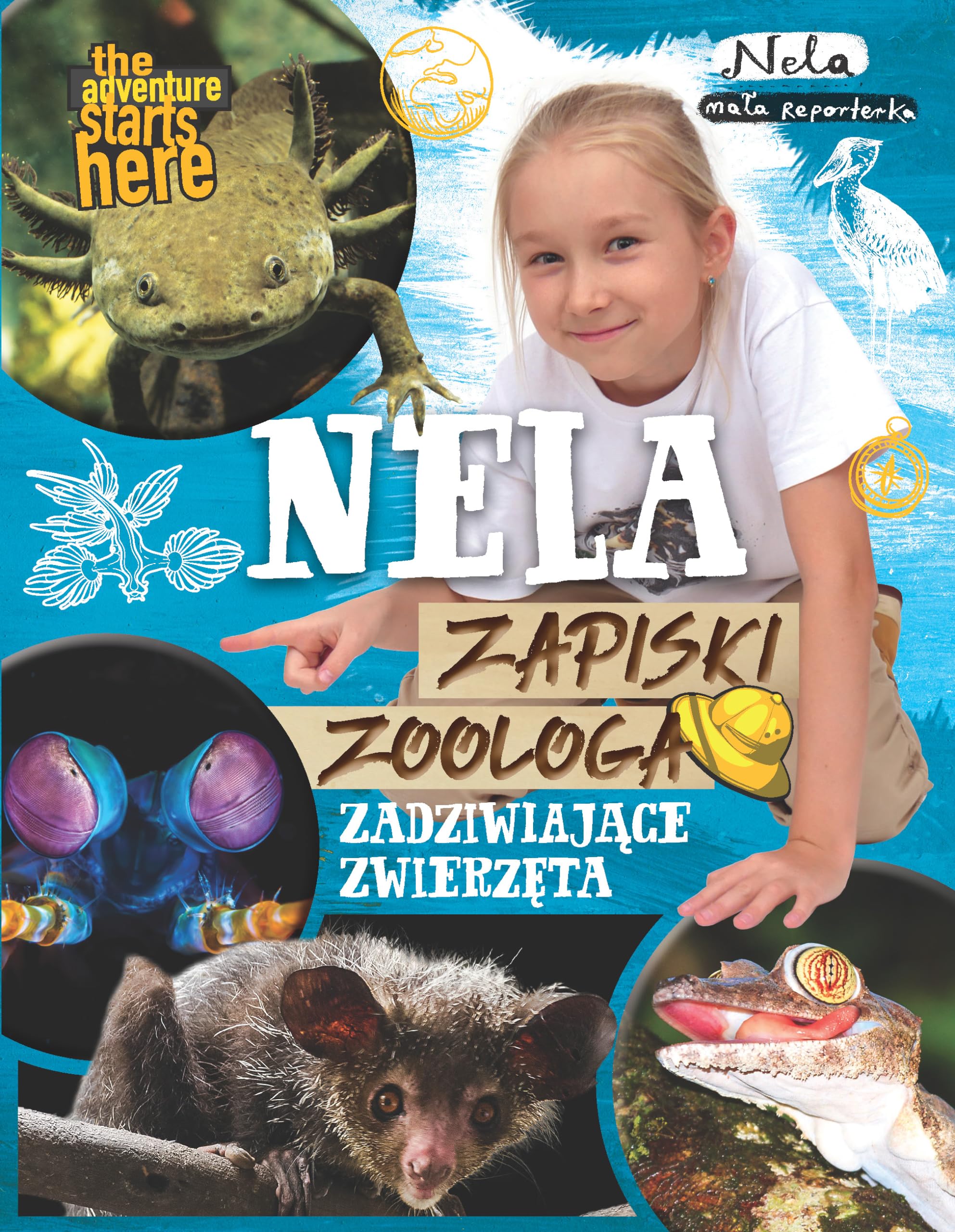 Nela Zapiski zoologa Zadziwiające zwierzęta Books