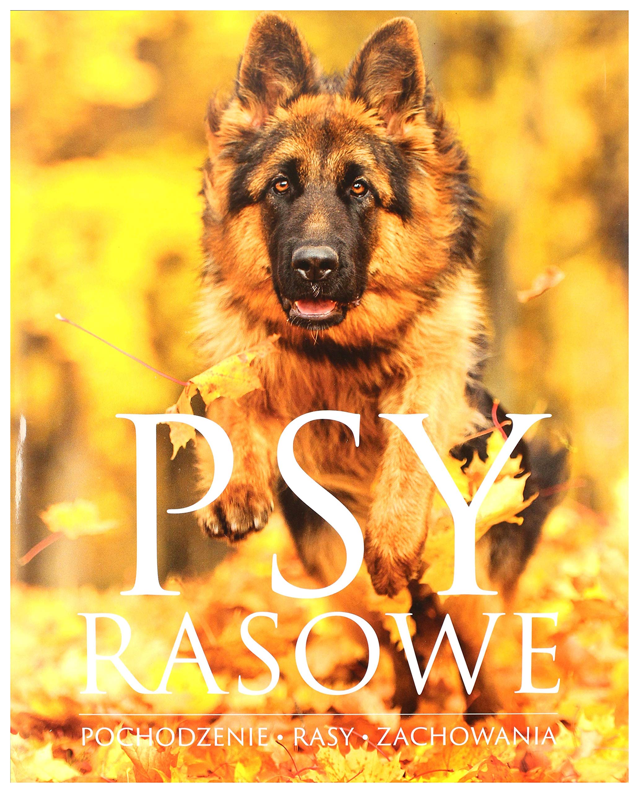 Psy rasowe Pochodzenie Rasy Zachowania book