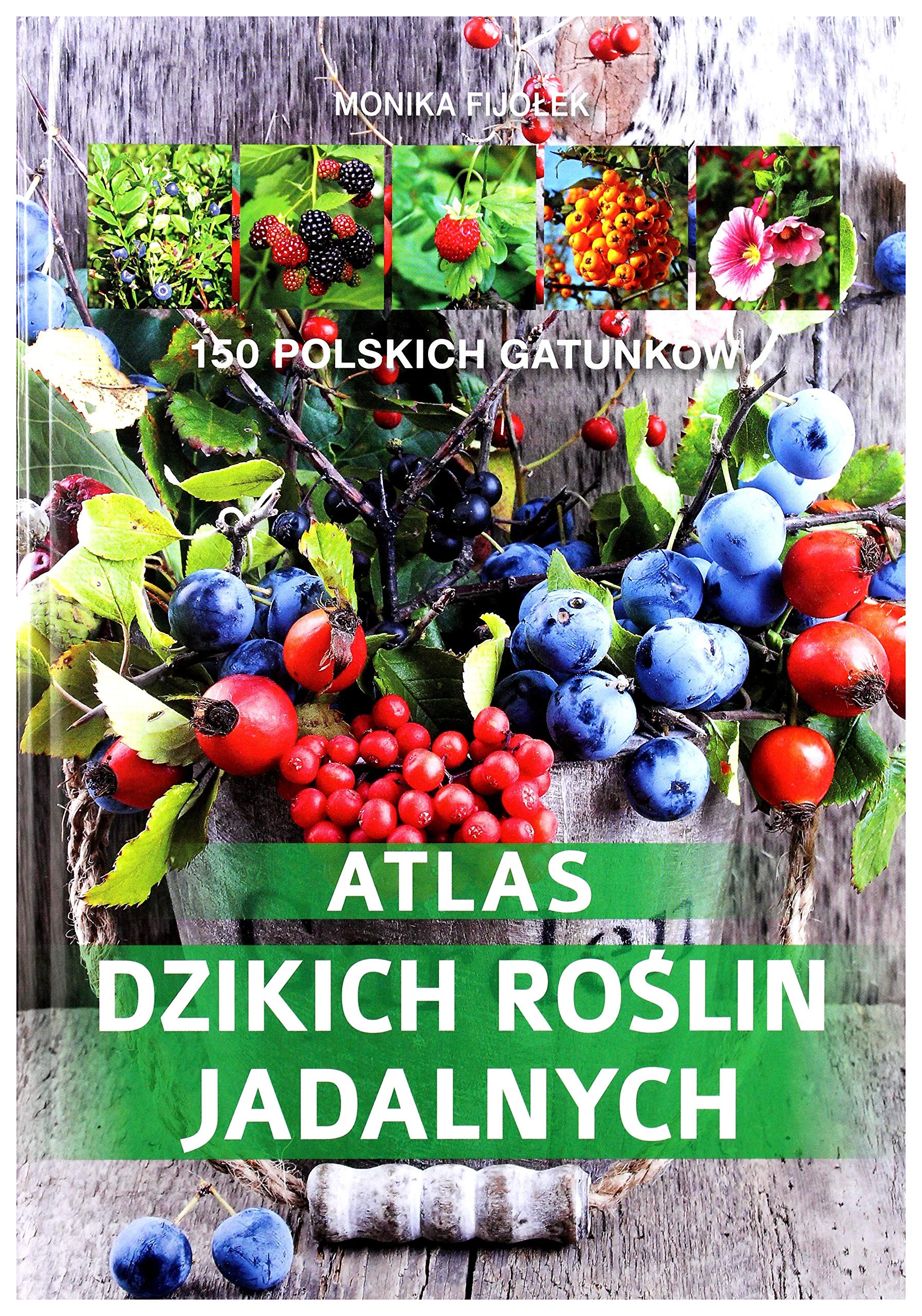 Atlas dzikich roślin jadalnych: 150 polskich gatunków Books