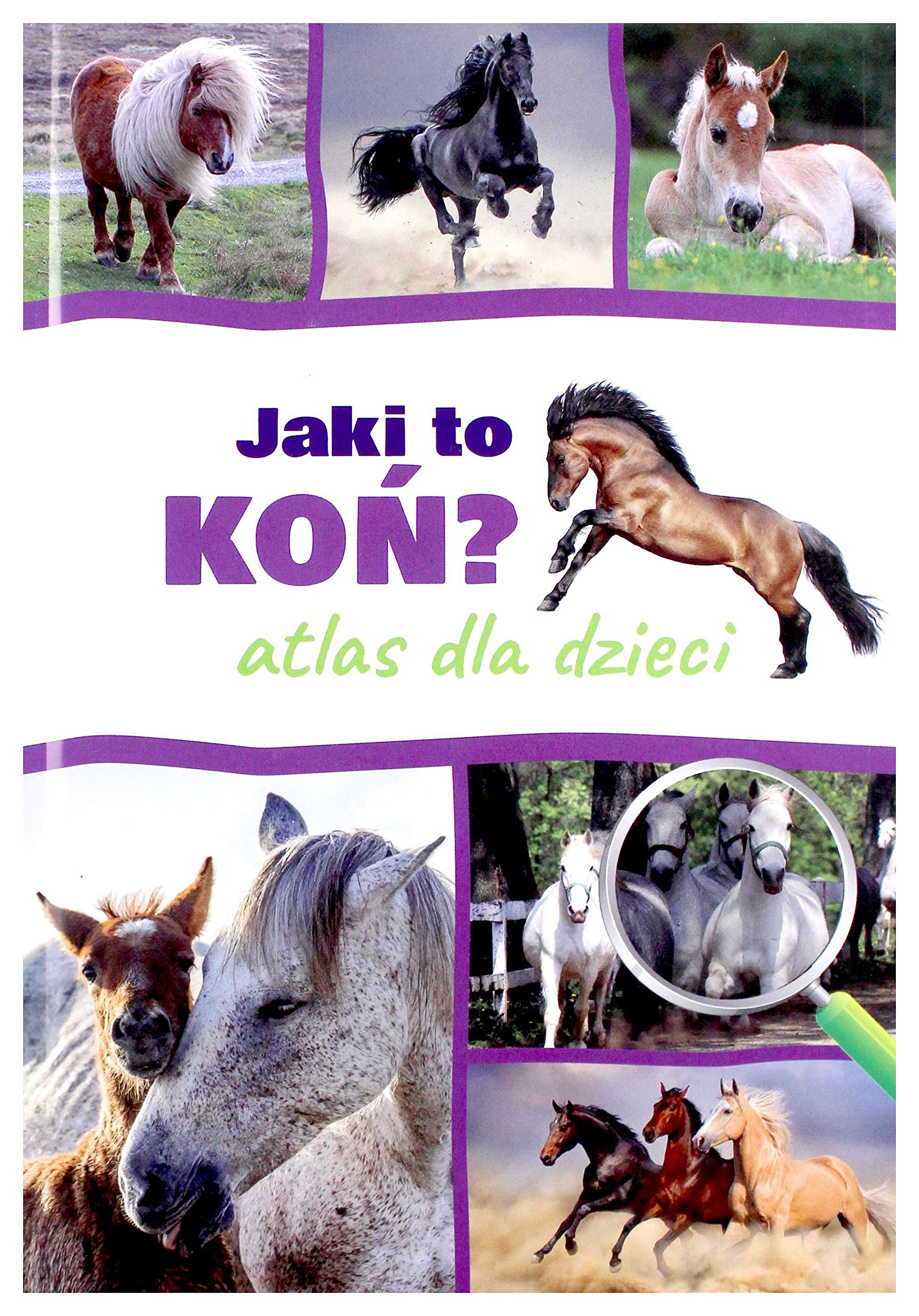 Jaki to koń Atlas dla dzieci Books