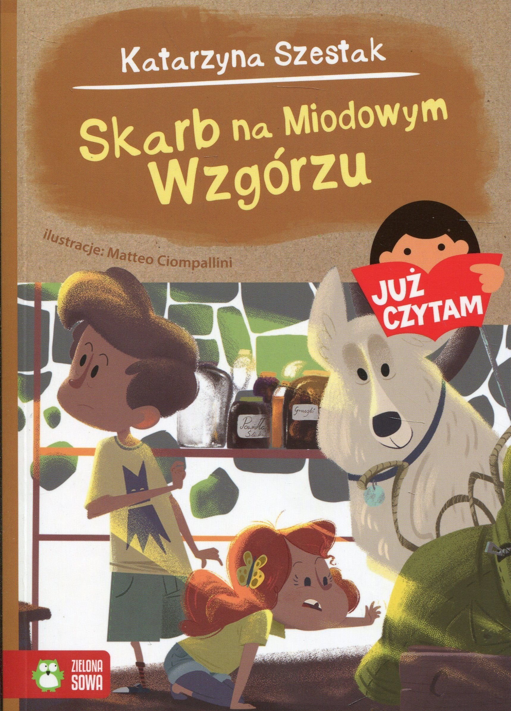 Już czytam Skarb na Miodowym Wzgórzu book