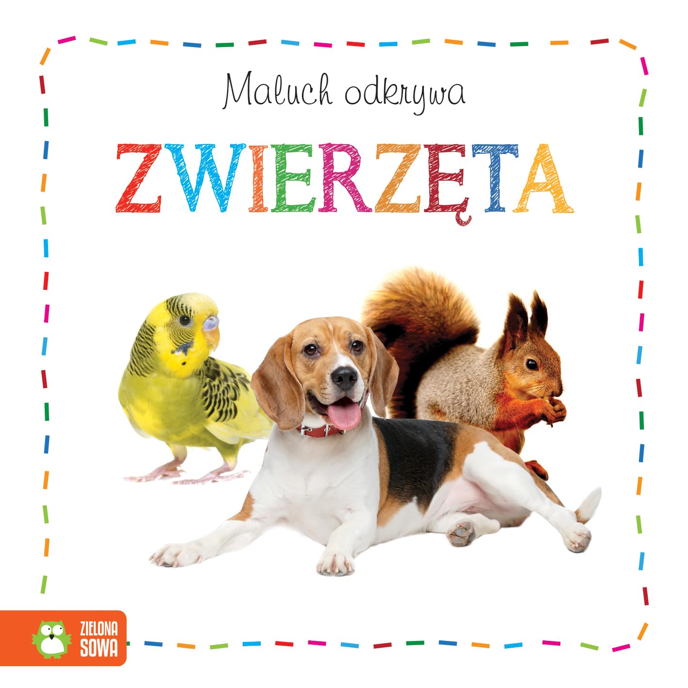 Maluch odkrywa Zwierzęta Books