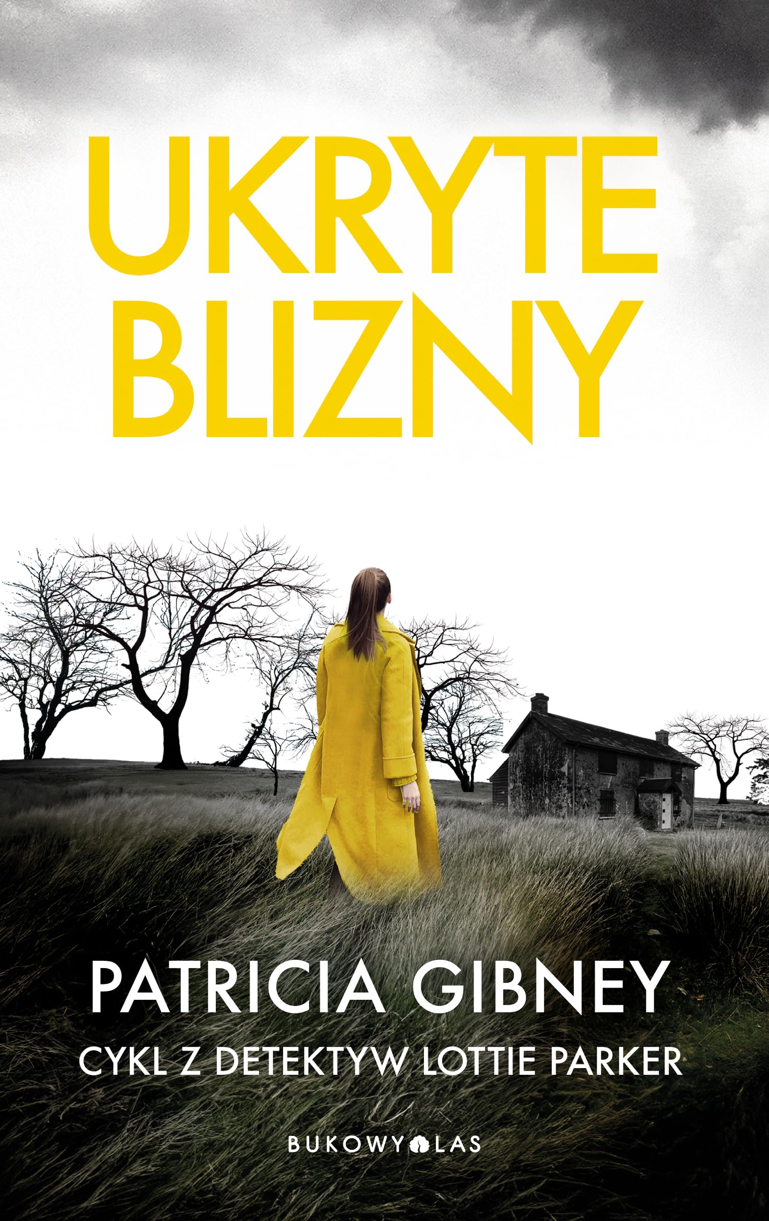 Ukryte blizny (CYKL Z DETEKTYW LOTTIE PARKER) Books