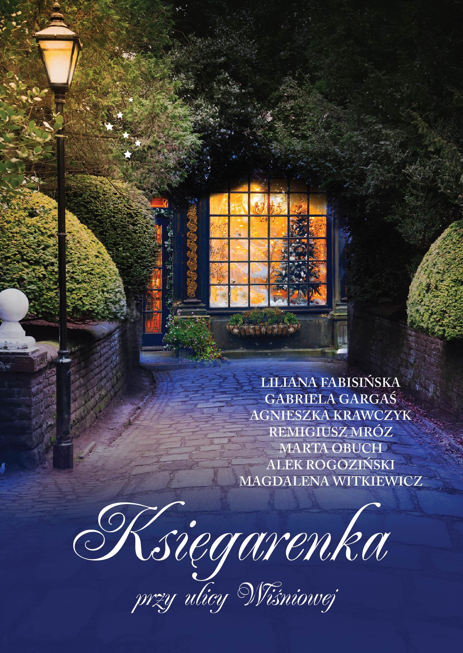 Ksiegarenka przy ulicy Wisniowej book