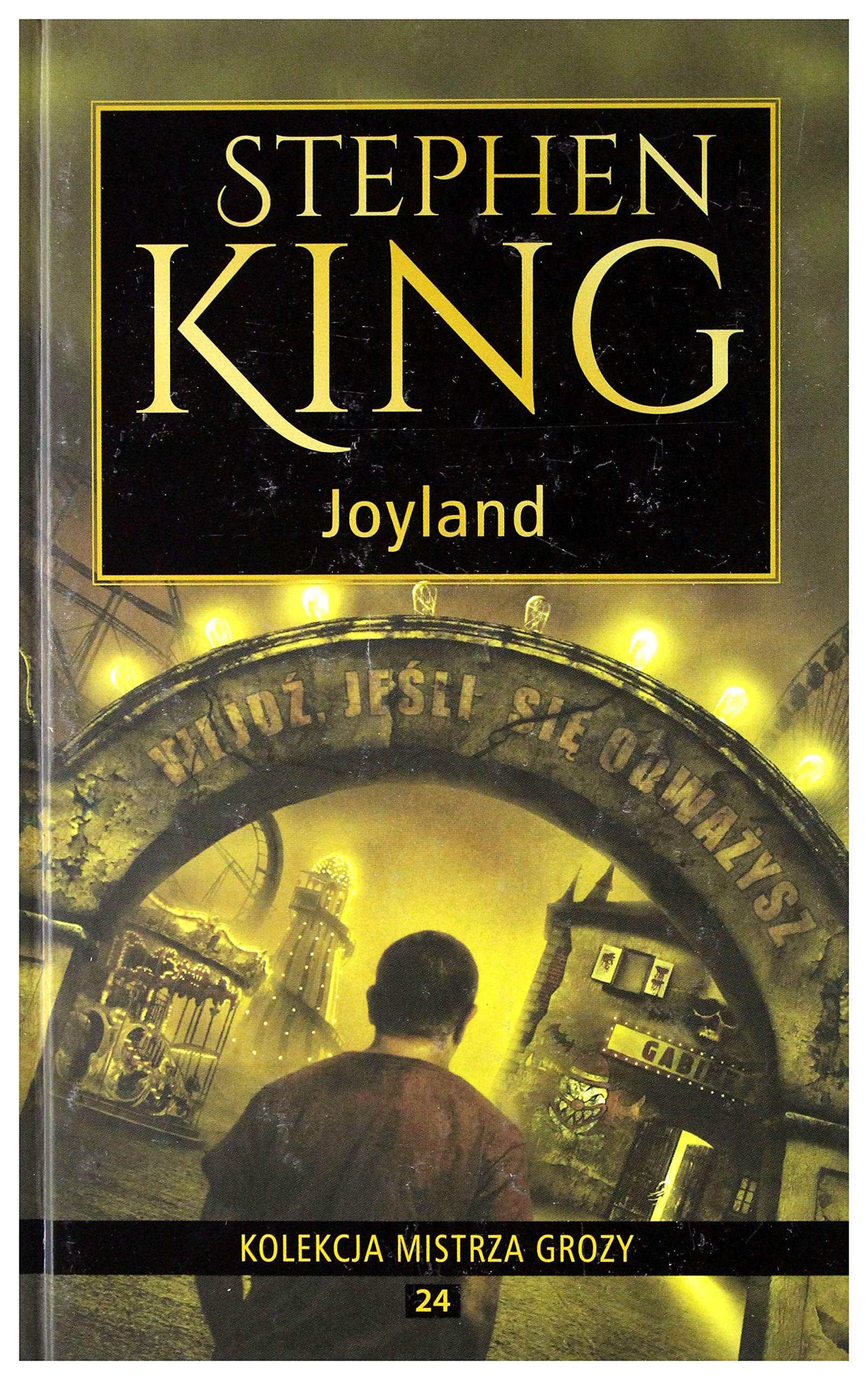 Joyland (Hard Case Crime) (Hard Case Crime Novels) by Stephen King (2013-06-07) book