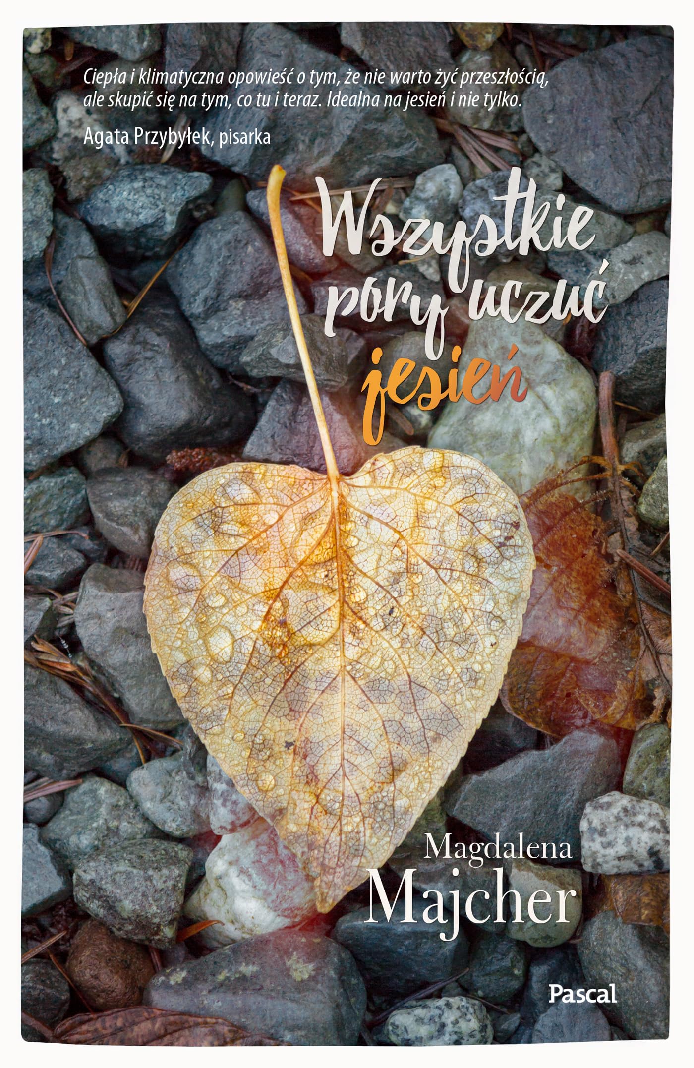 Wszystkie pory uczuc Jesien Contemporary literature
