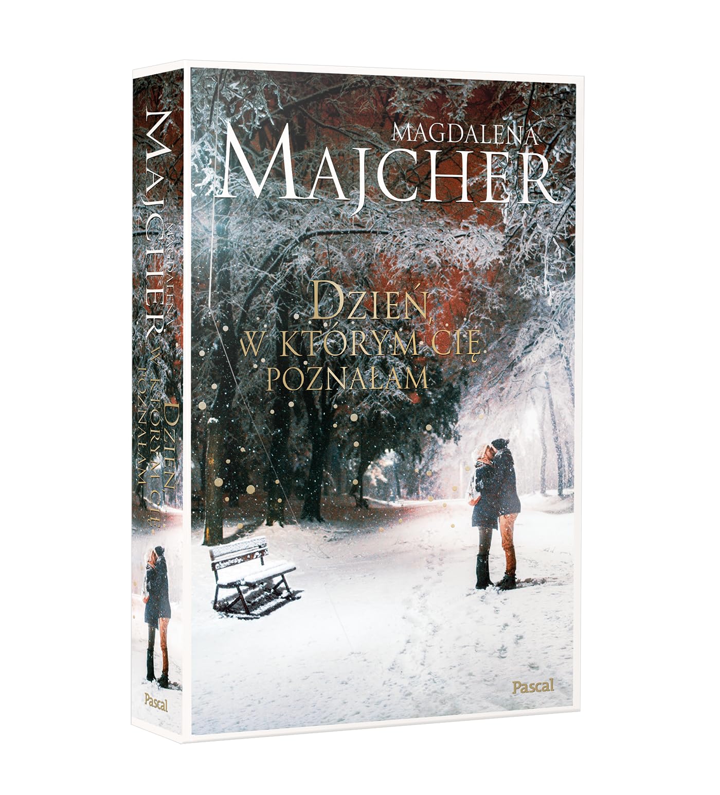 Dzień, w którym Cię poznałam book