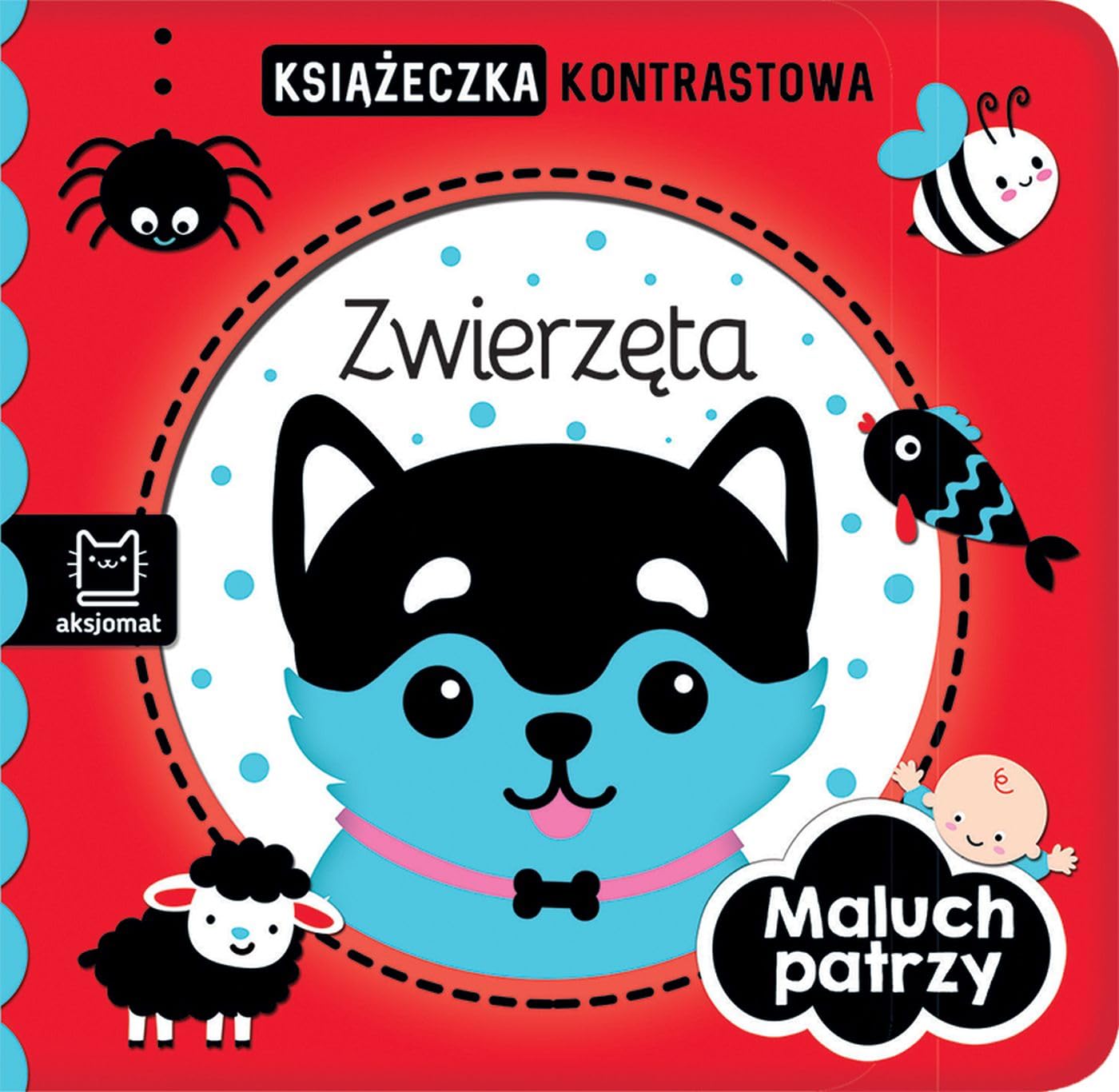 Maluch patrzy Zwierzęta Książeczka kontrastowa book