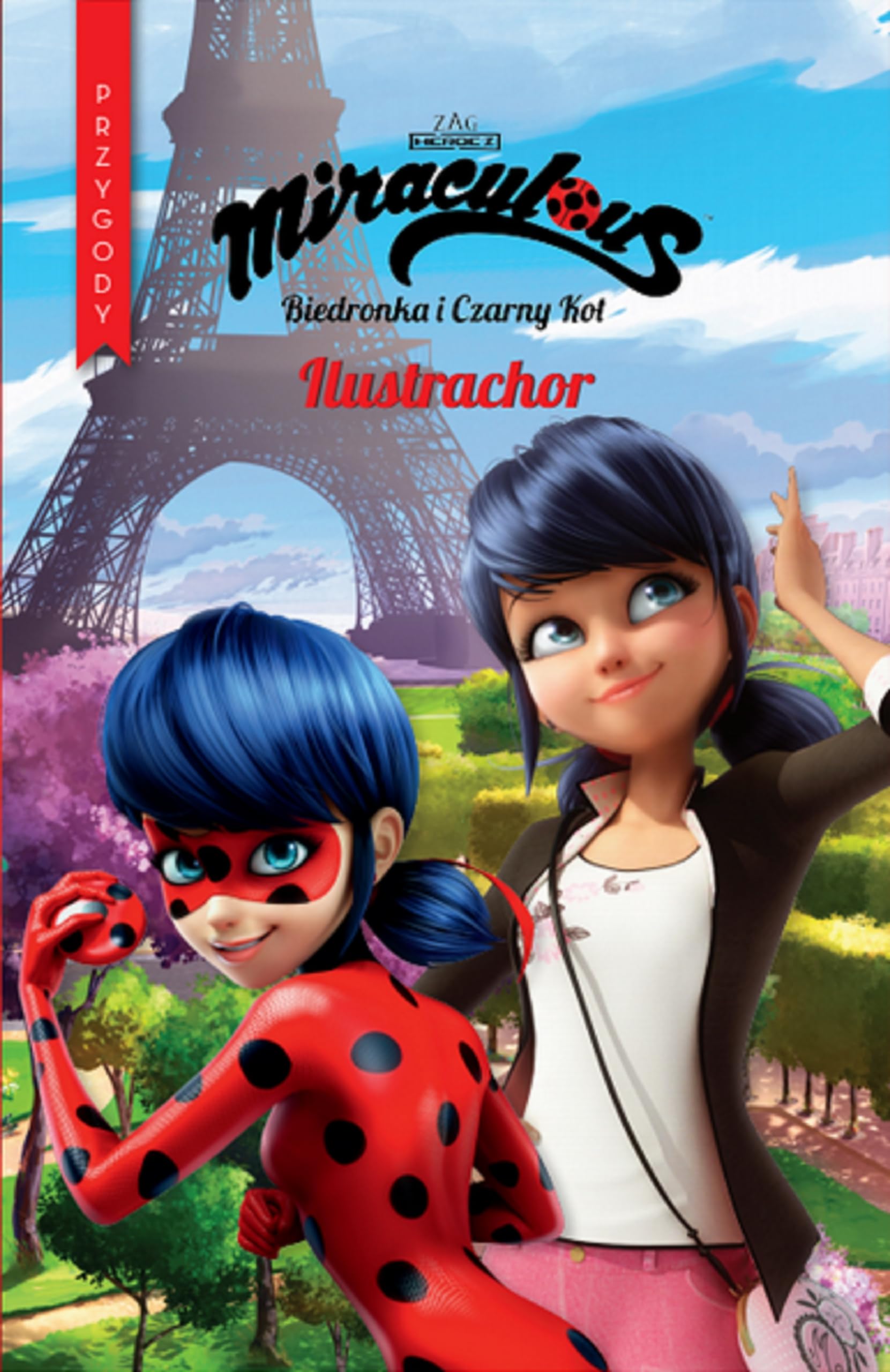 Biedronka i czarny kot 2 Ilustrachor book