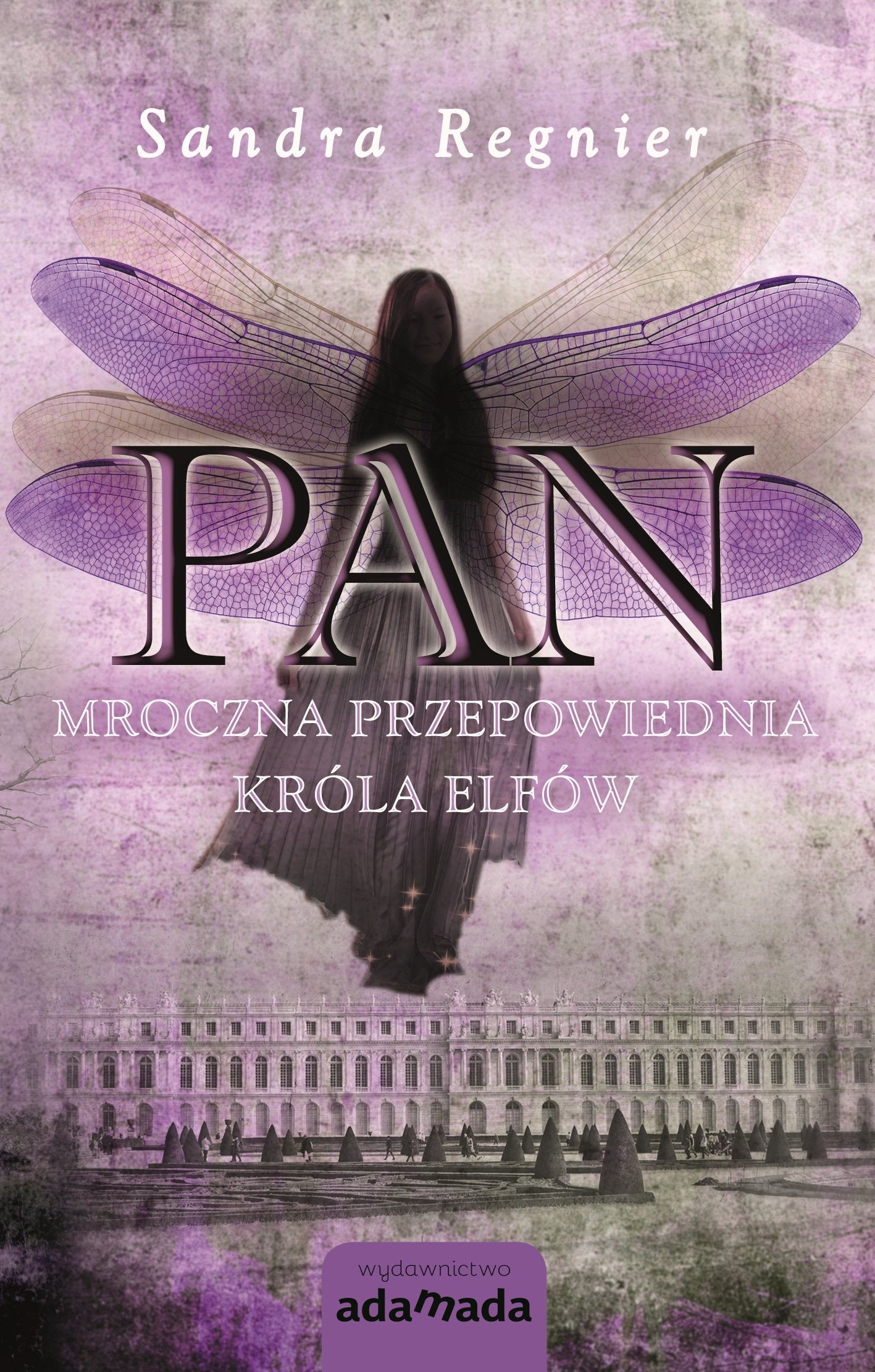 Pan Mroczna przepowiednia krola elfow book