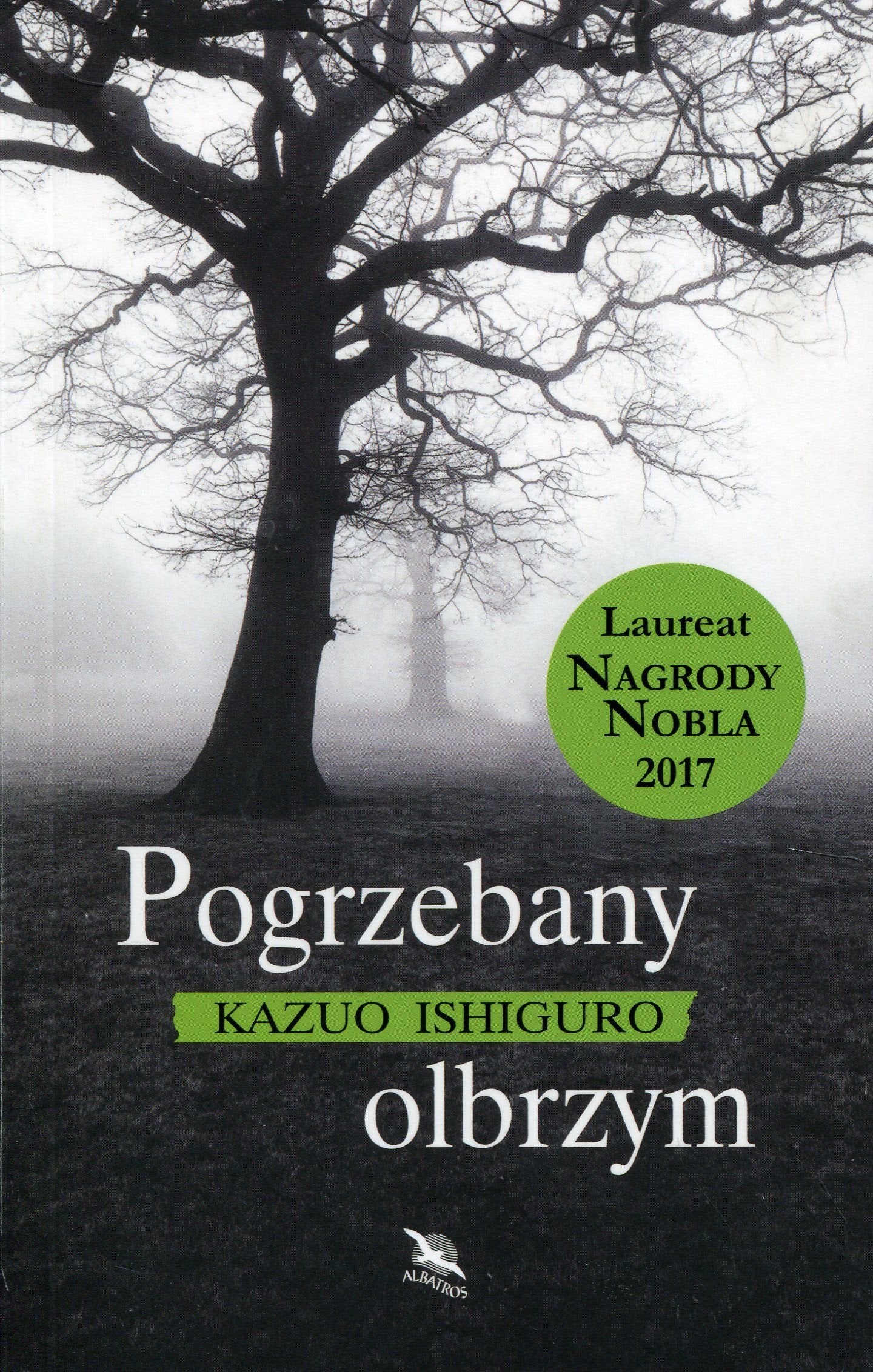 Pogrzebany olbrzym book