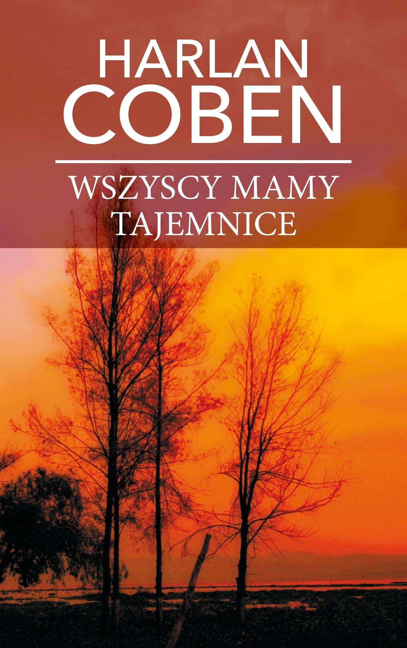 Wszyscy mamy tajemnice (pocket) - Harlan Coben book