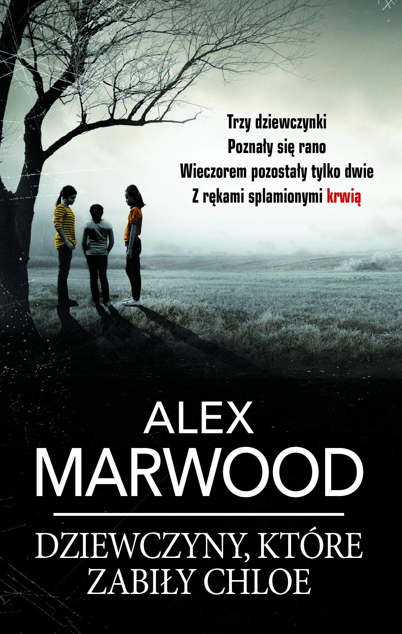 Dziewczyny, ktĂlre zabiĹy Chloe (pocket) - Alex Marwood book