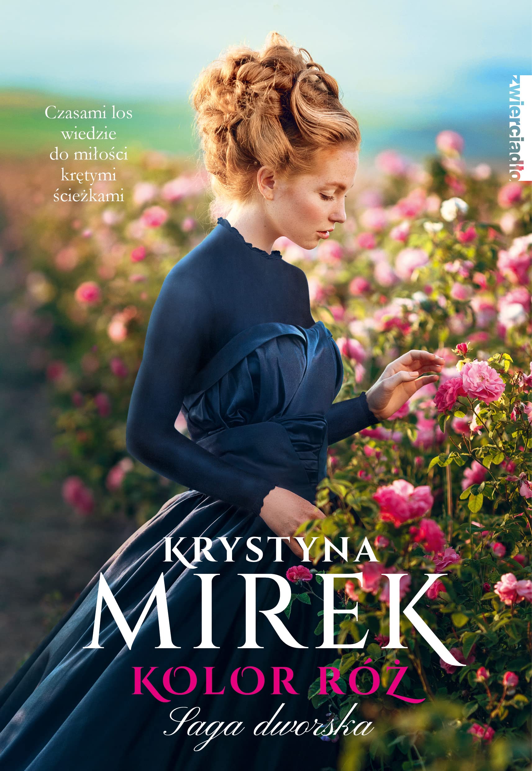 Saga dworska (2) (Kolor róż, Band 2) Books