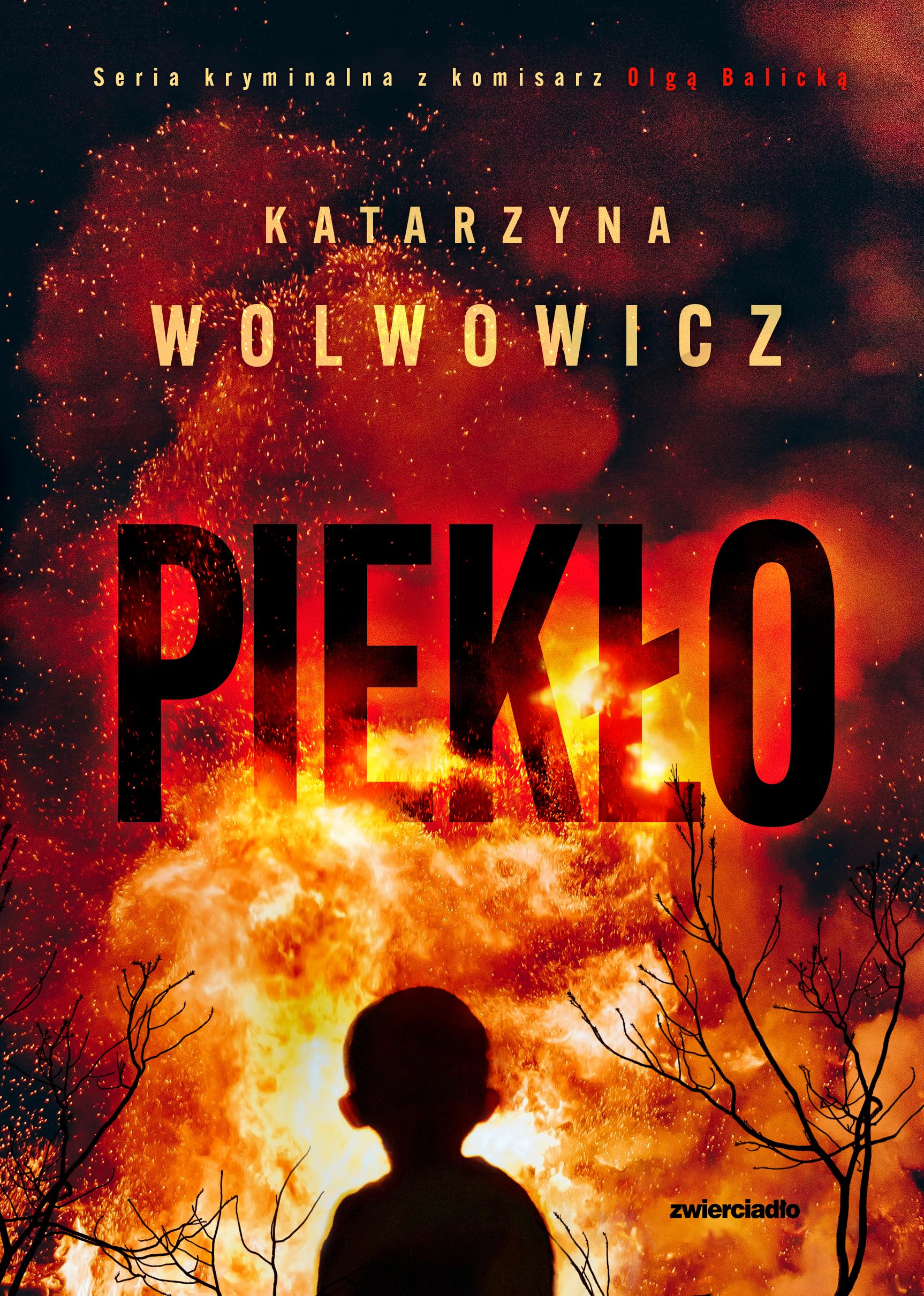 Seria kryminalna z komisarz Olgą Balicką (7) book
