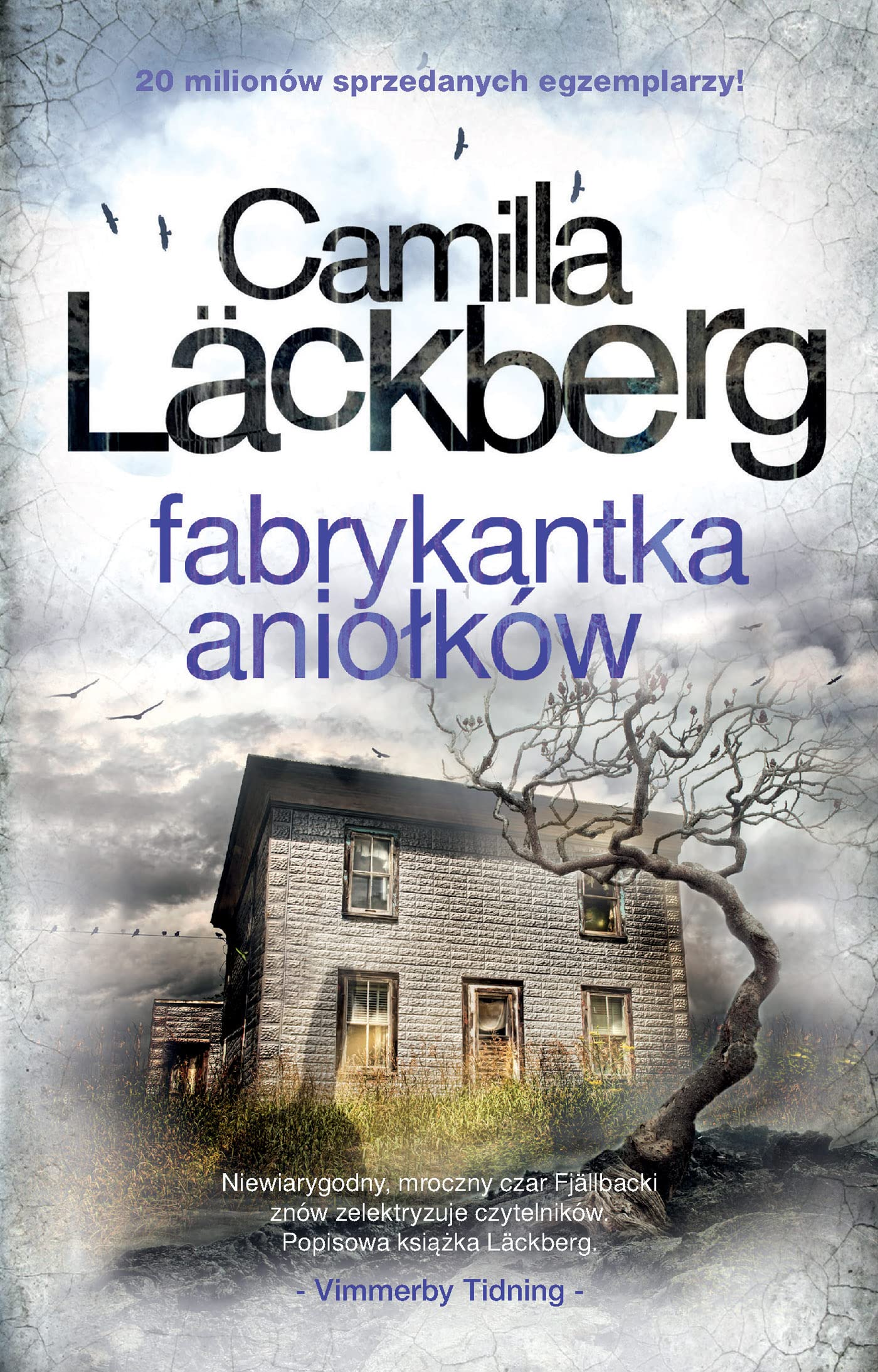Fabrykantka aniołków: Fjällbacka. 8. book
