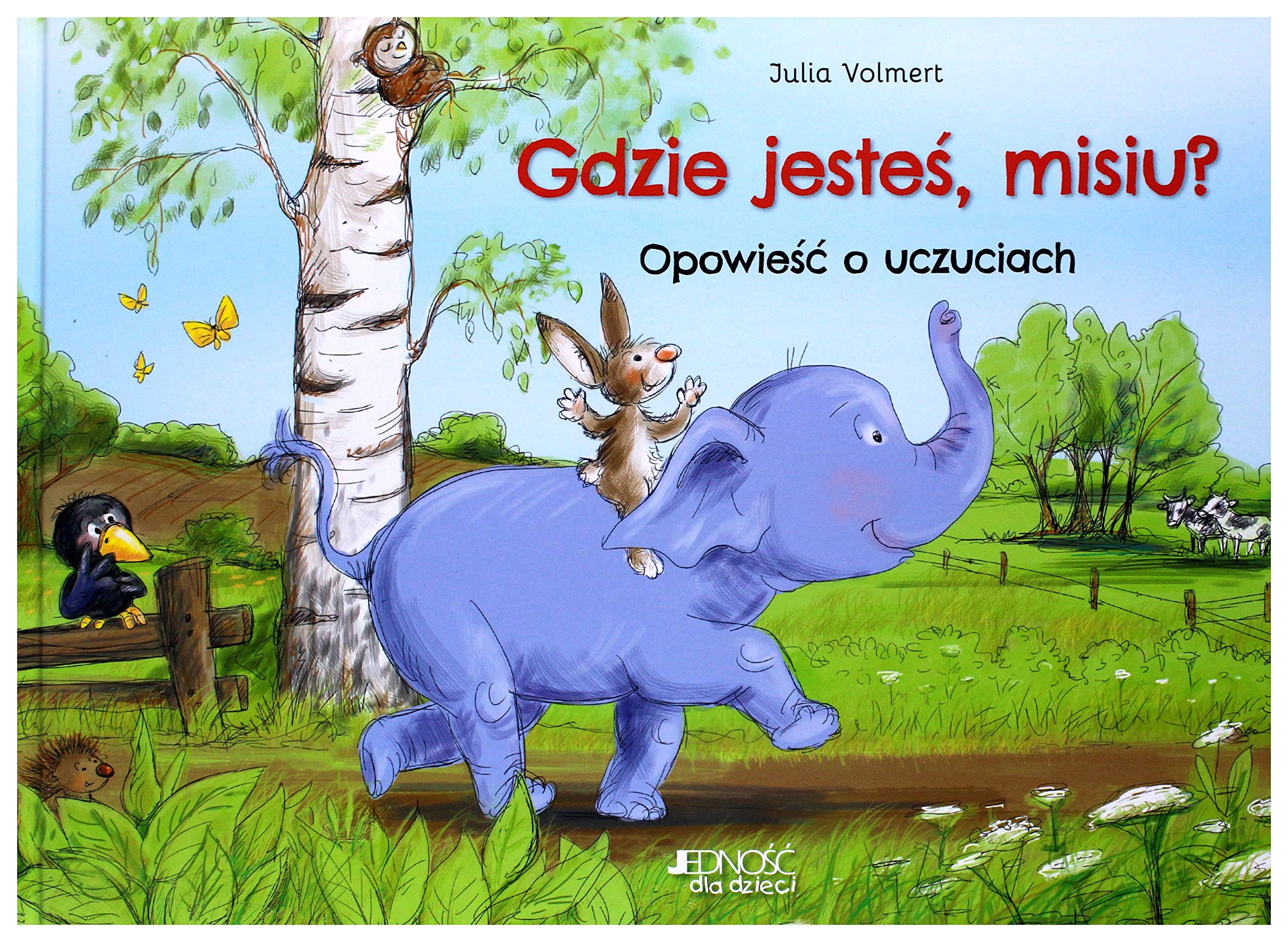 Gdzie jesteĹ misiu? OpowieĹÄ o uczuciach - Julia Volmert book