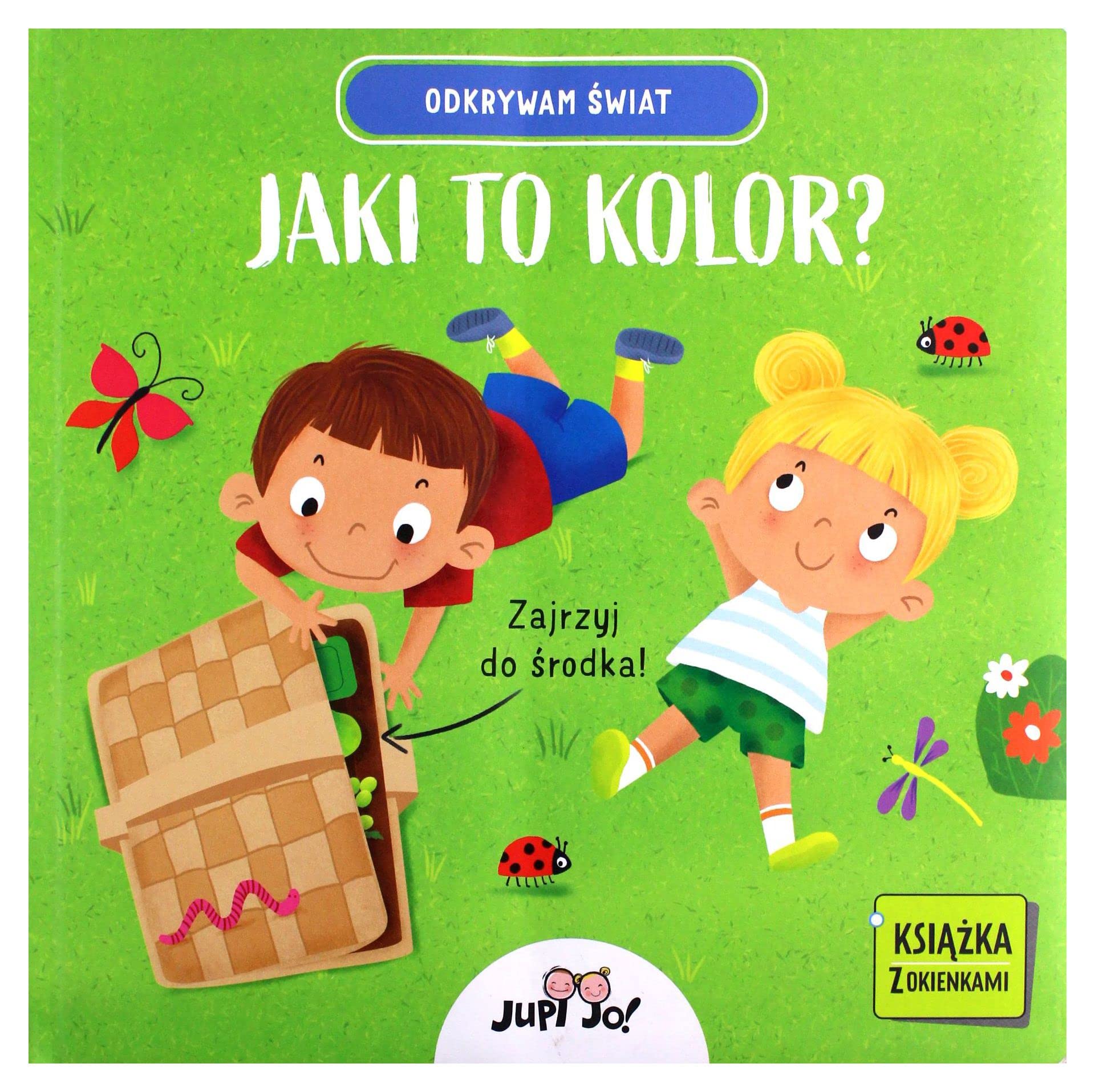 Odkrywam świat. Jaki to kolor? Books