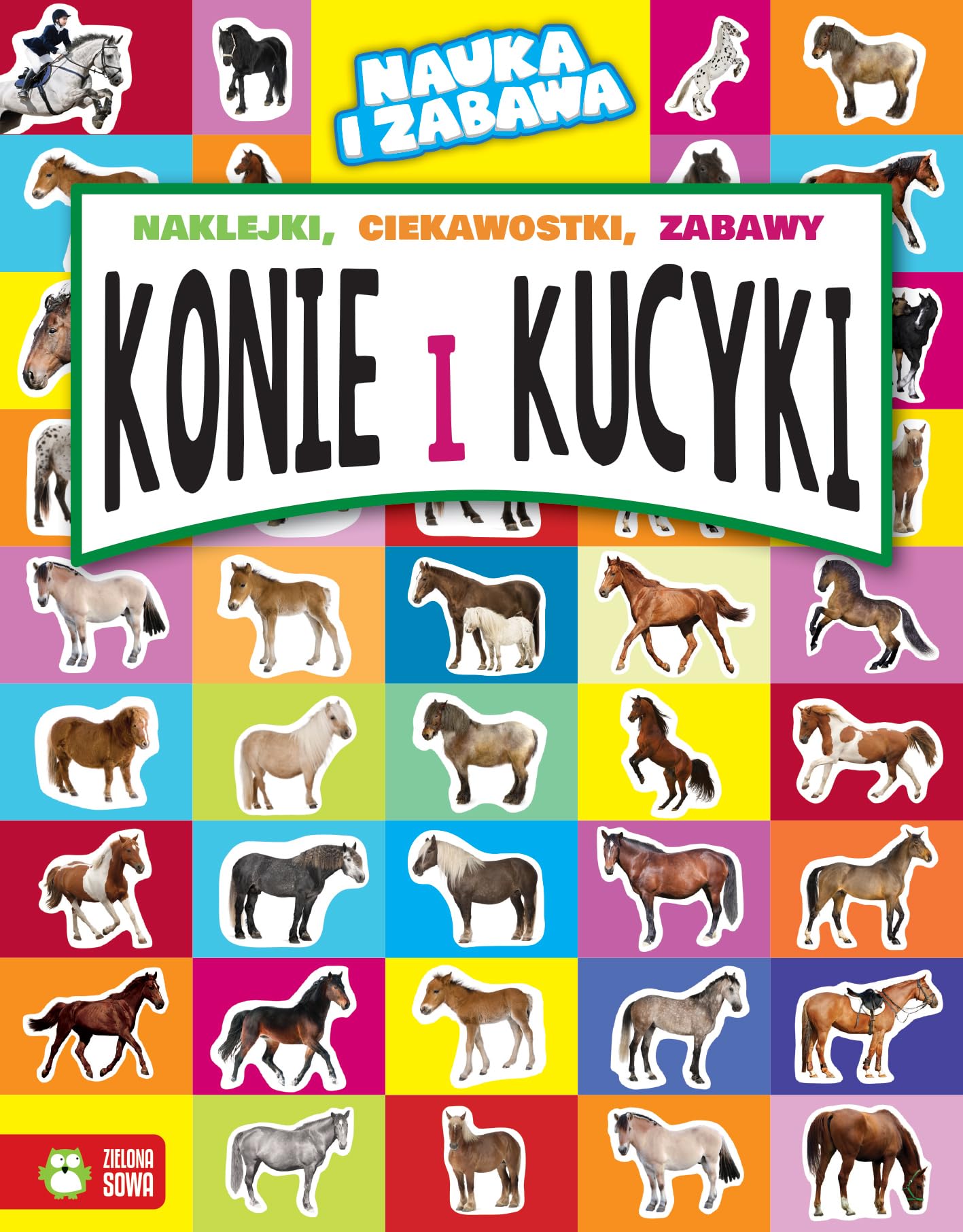 Nauka i zabawa Konie i kucyki Books
