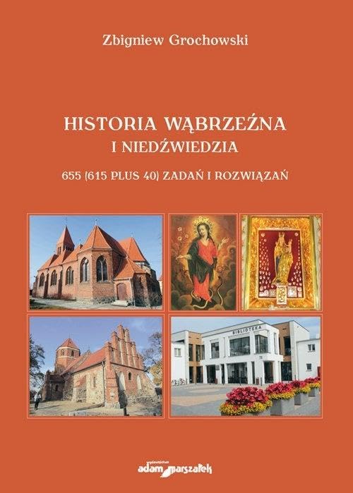 Historia Wąbrzeźna i Niedźwiedzia: 655 (615 plus 40) zadań i rozwiązań Books
