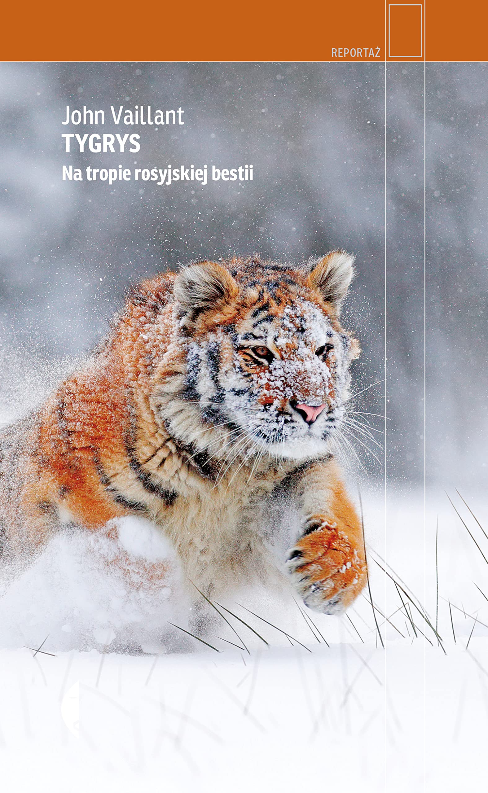 Tygrys: Na tropie rosyjskiej bestii Books