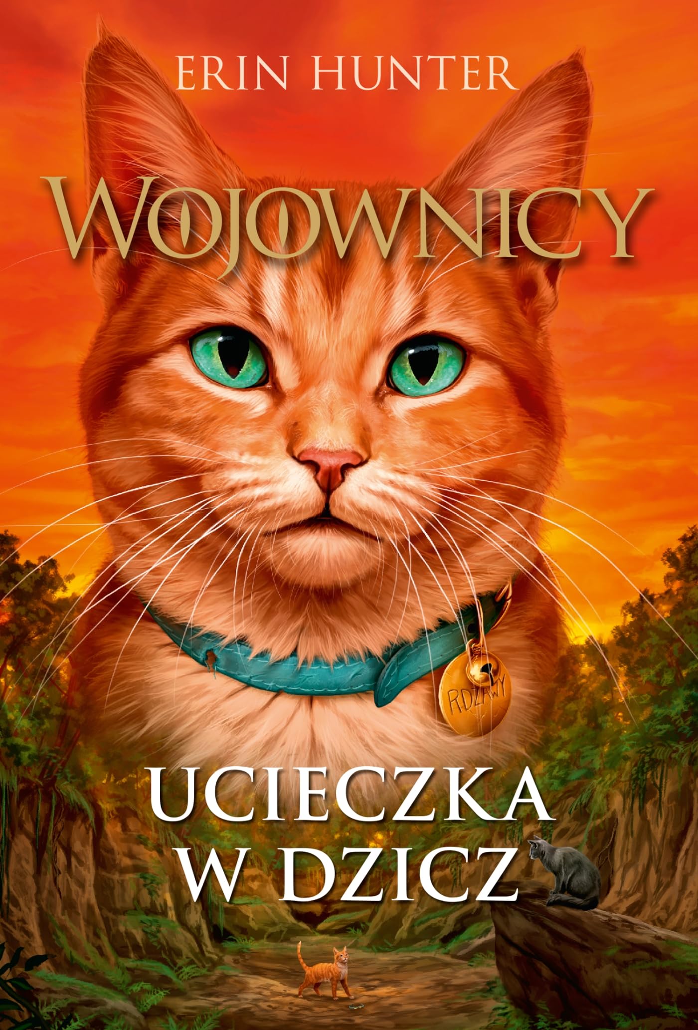 Ucieczka w dzicz: Wojownicy Tom 1 Books