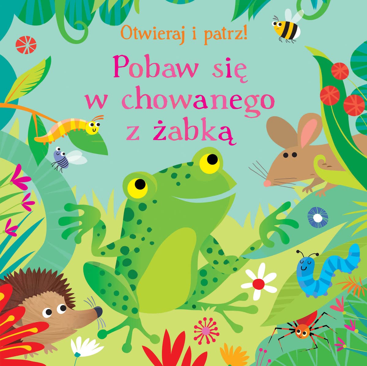 Pobaw się w chowanego z żabką Otwieraj i patrz Books