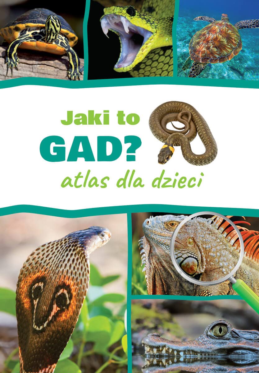 Jaki to gad? Atlas dla dzieci Books