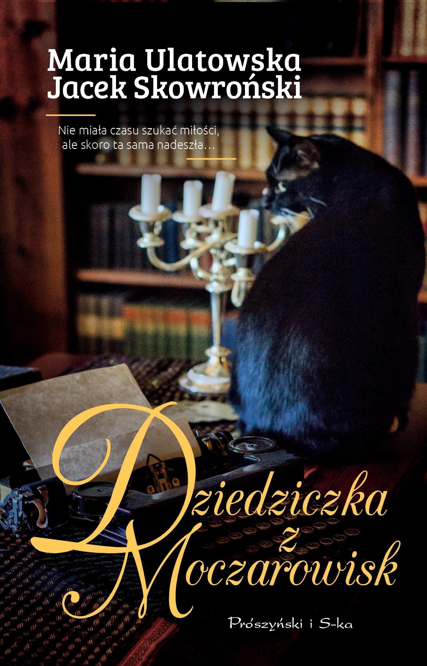Dziedziczka z Moczarowisk book