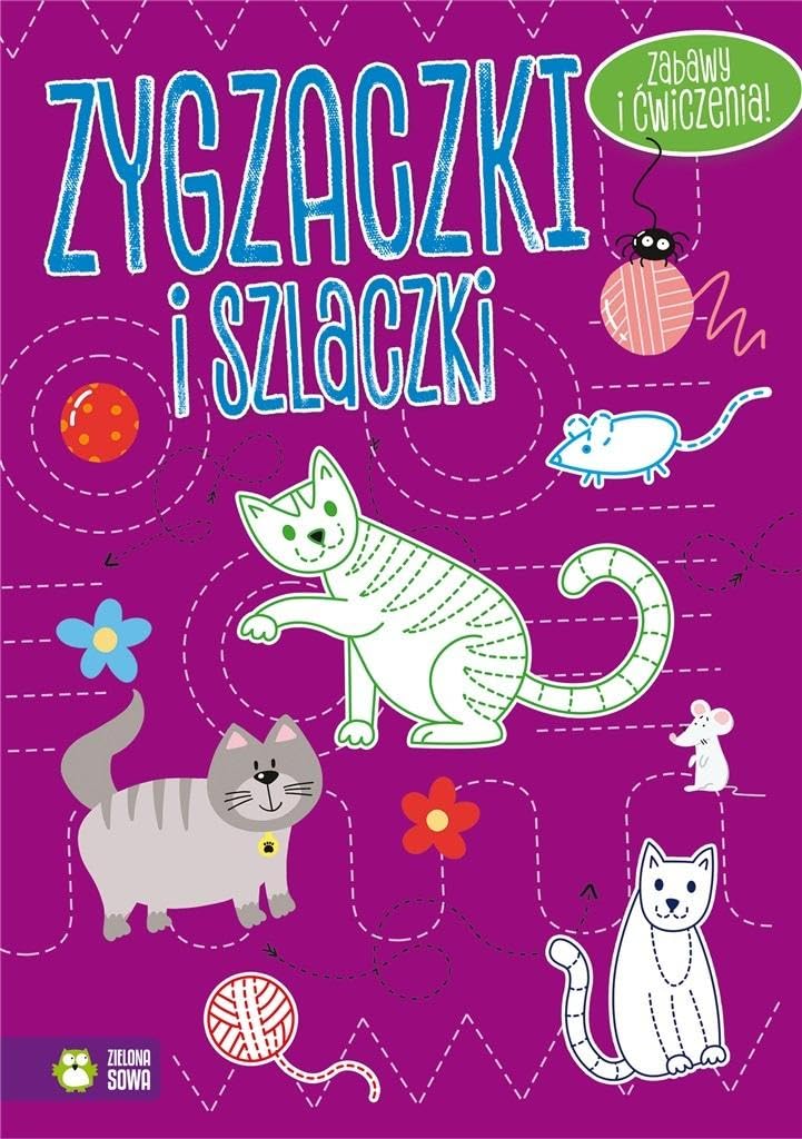 Zygzaczki i szlaczki fioletowe Books