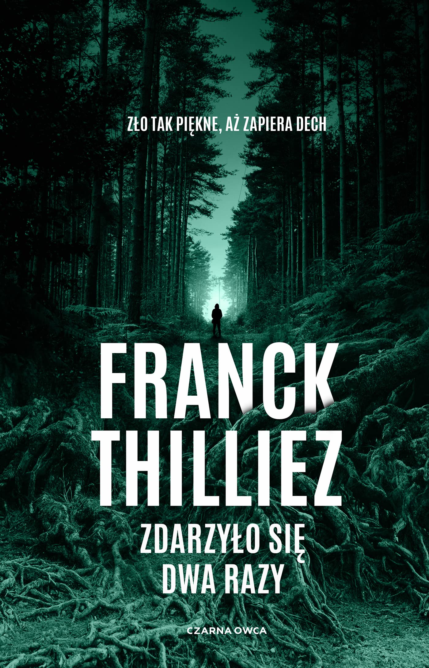 Zdarzyło się dwa razy book