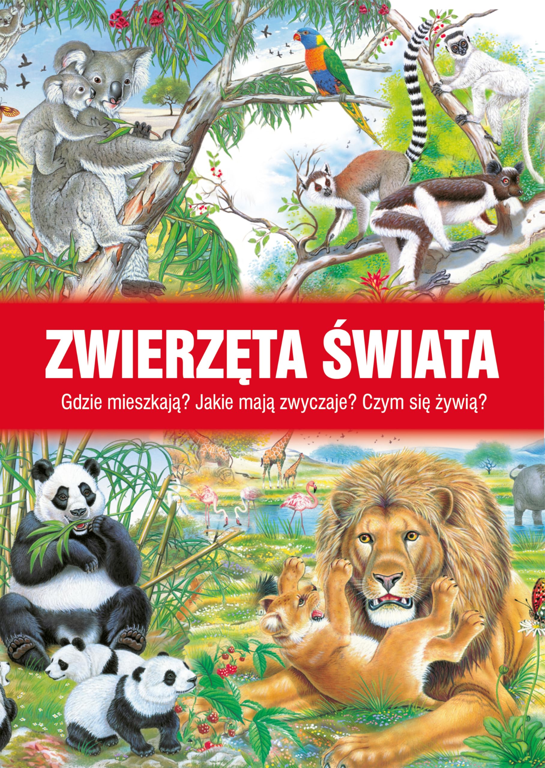 Zwierzęta świata Books