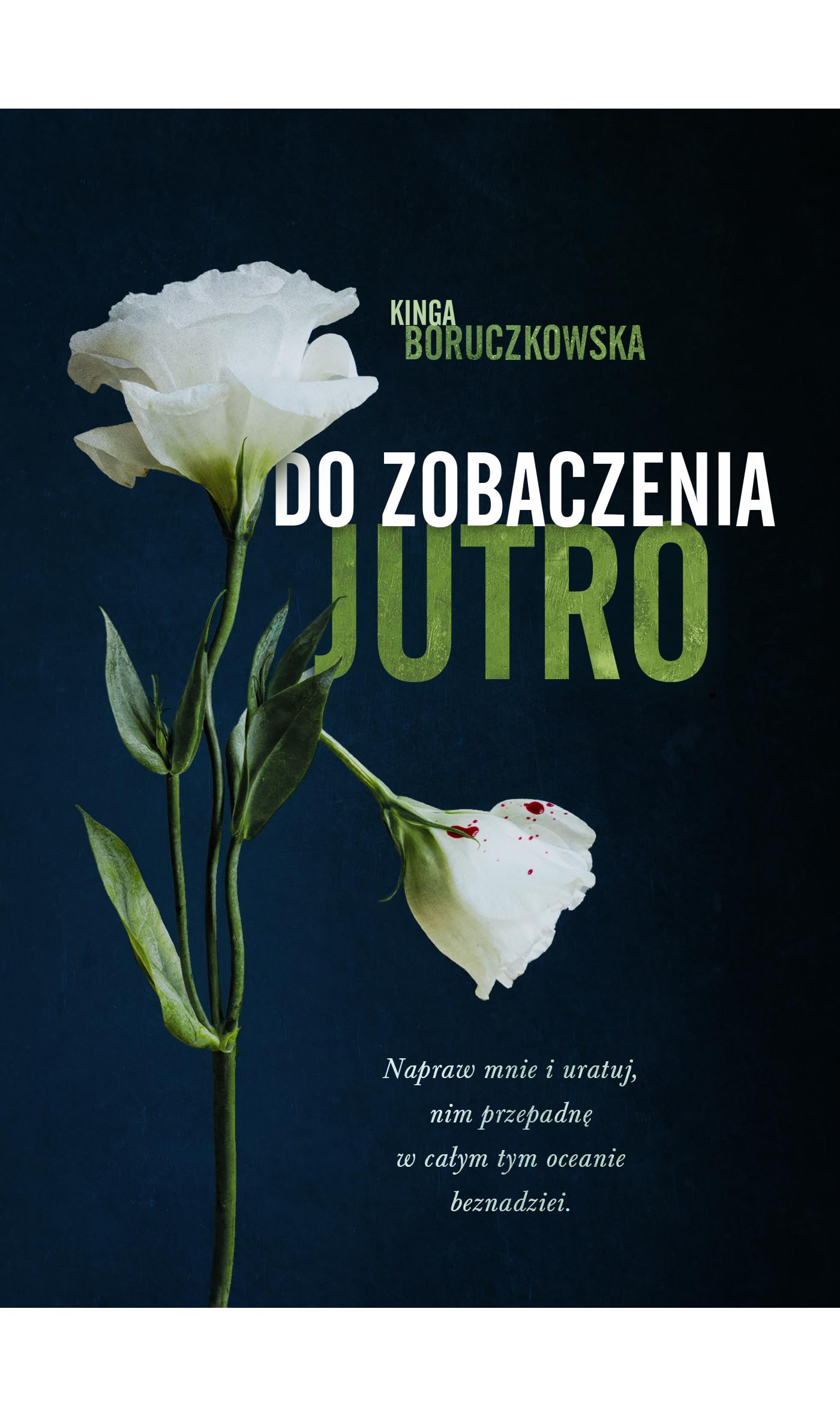 Do zobaczenia jutro Books
