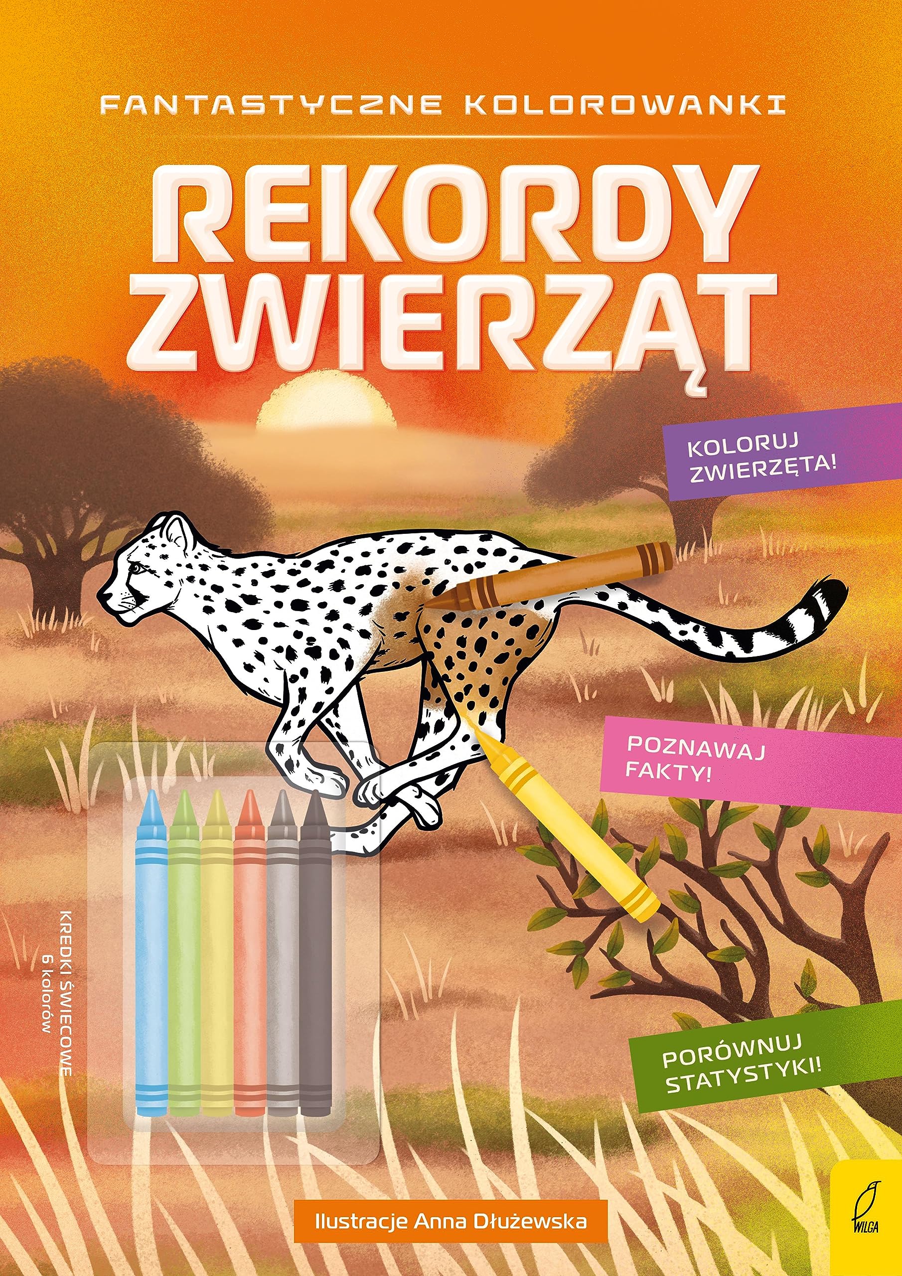Fantastyczne kolorowanki z kredkami Rekordy zwierząt Books