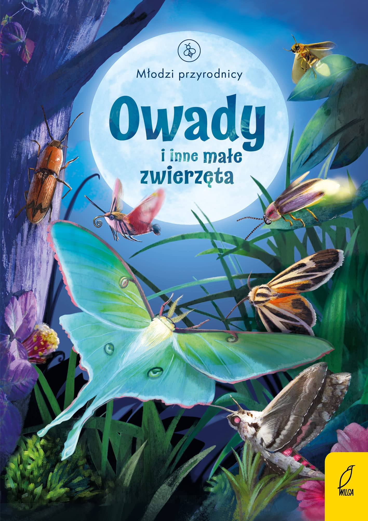 Owady i inne małe zwierzęta (MŁODZI PRZYRODNICY) Books