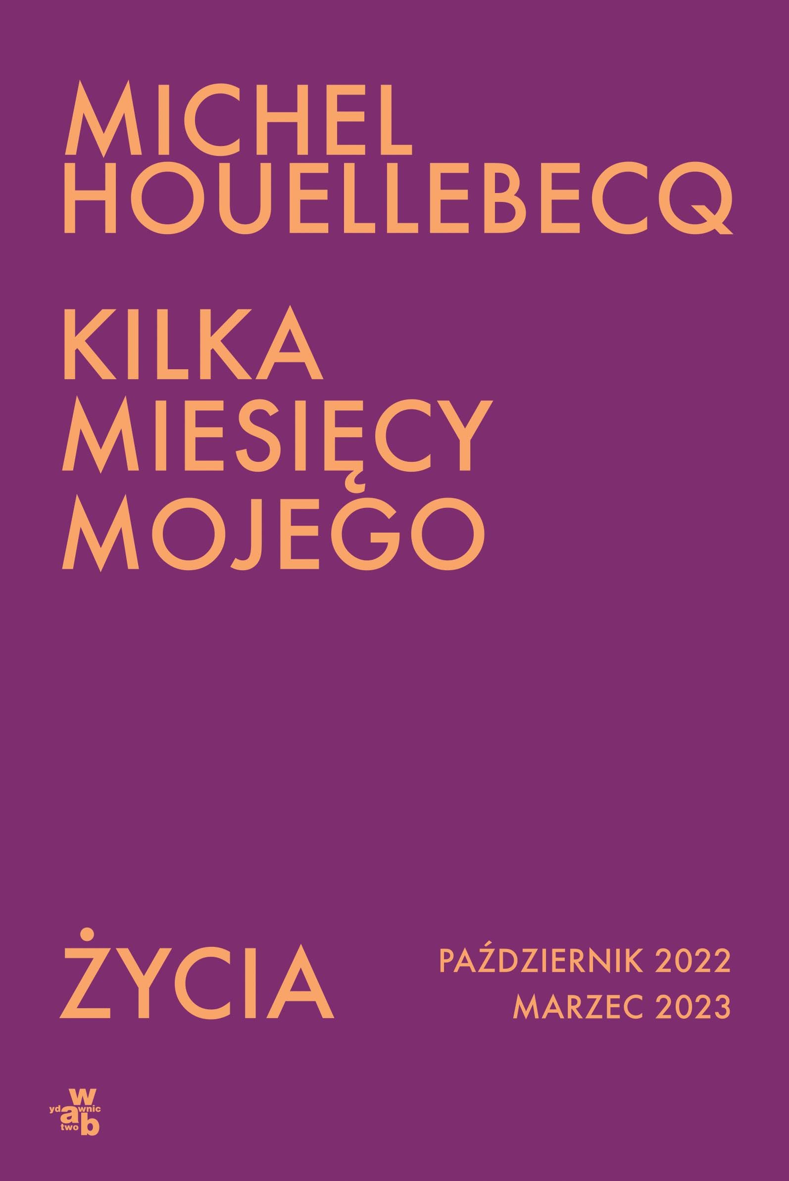 Kilka miesięcy mojego życia: październik 2022 - marzec 2023 book