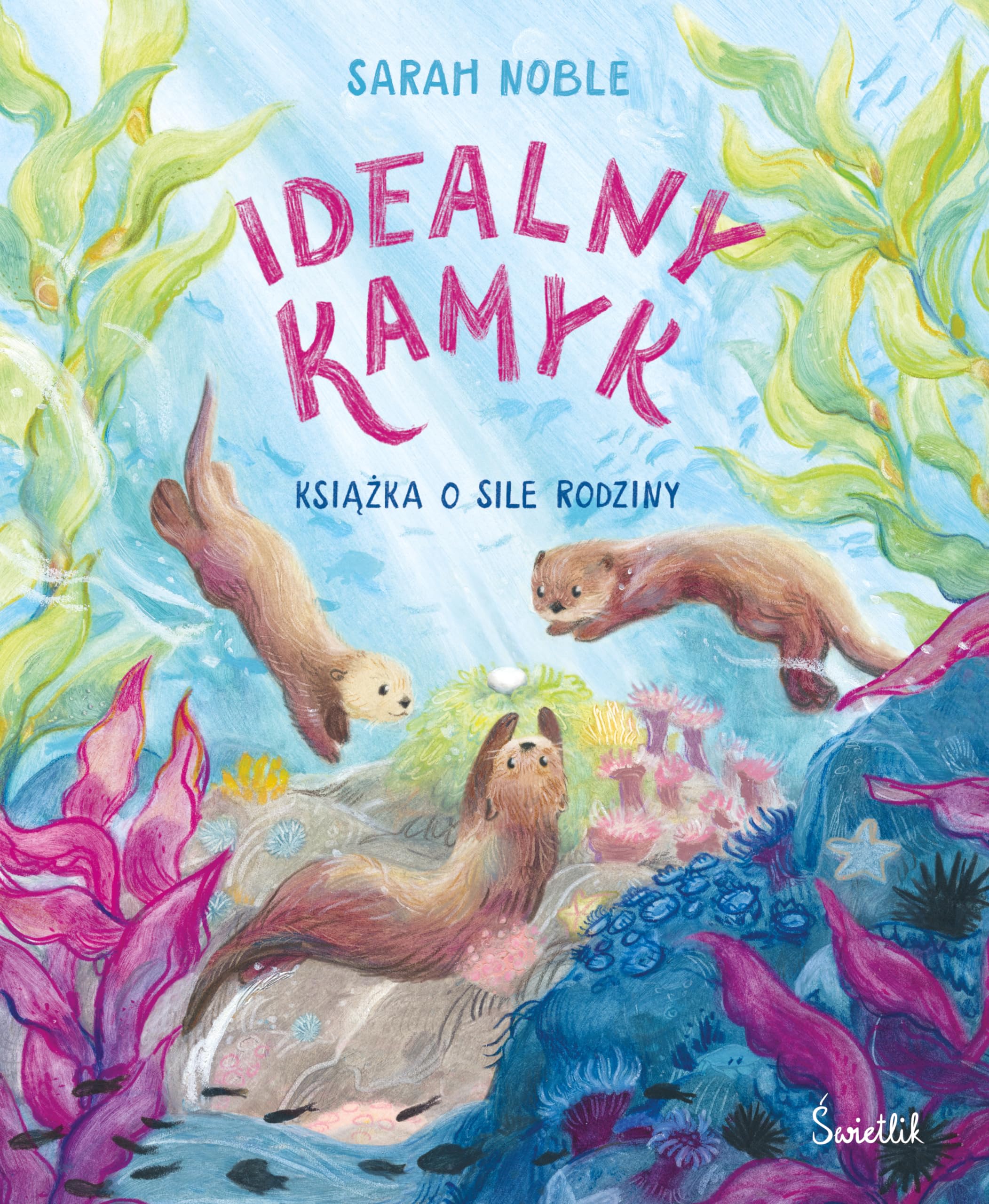 Idealny kamyk. Książka o sile rodziny book