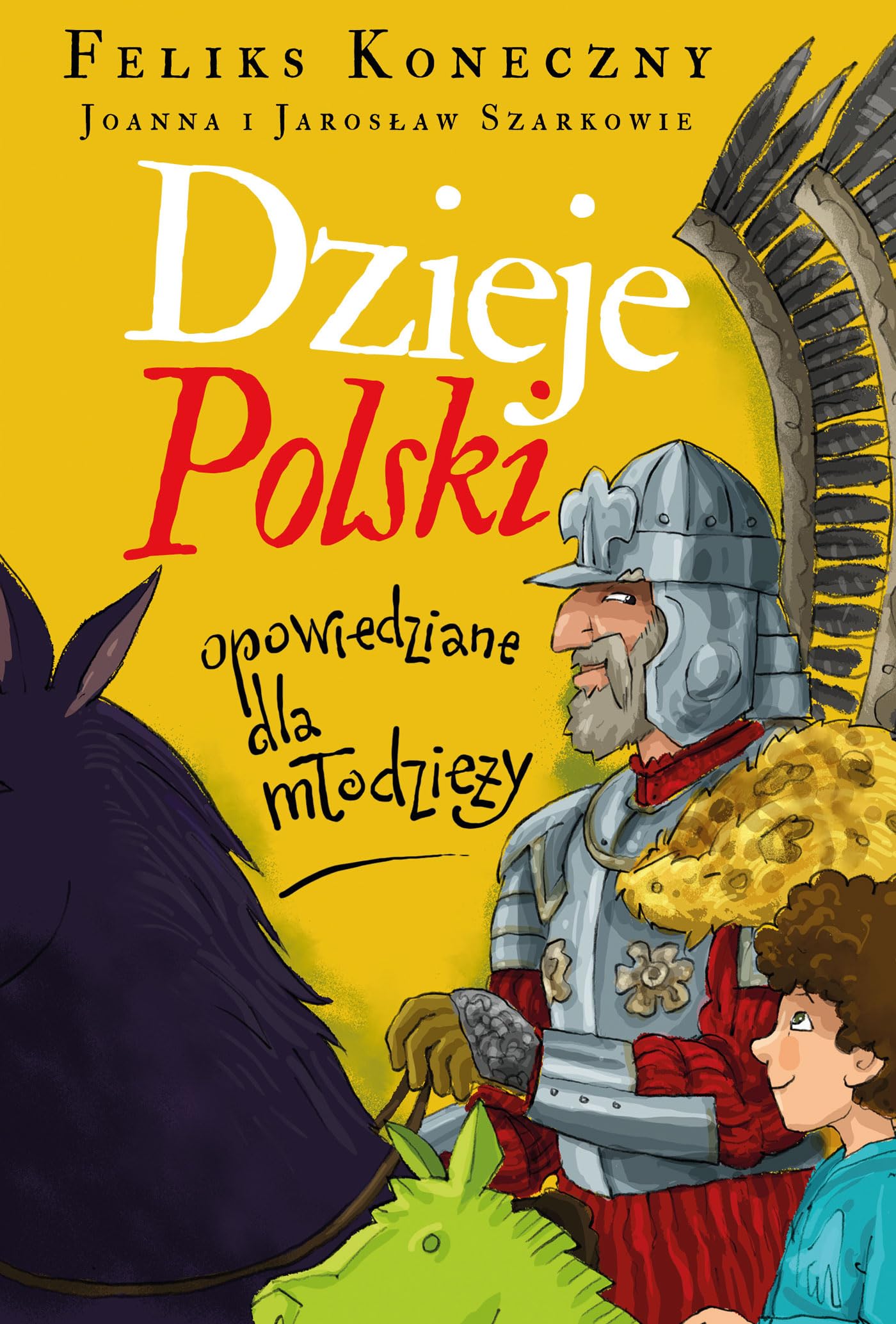 Dzieje Polski opowiedziane dla młodzieży book