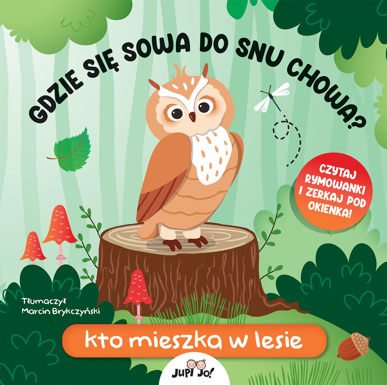 Gdzie się sowa do snu chowa? Kto mieszka w lesie Books