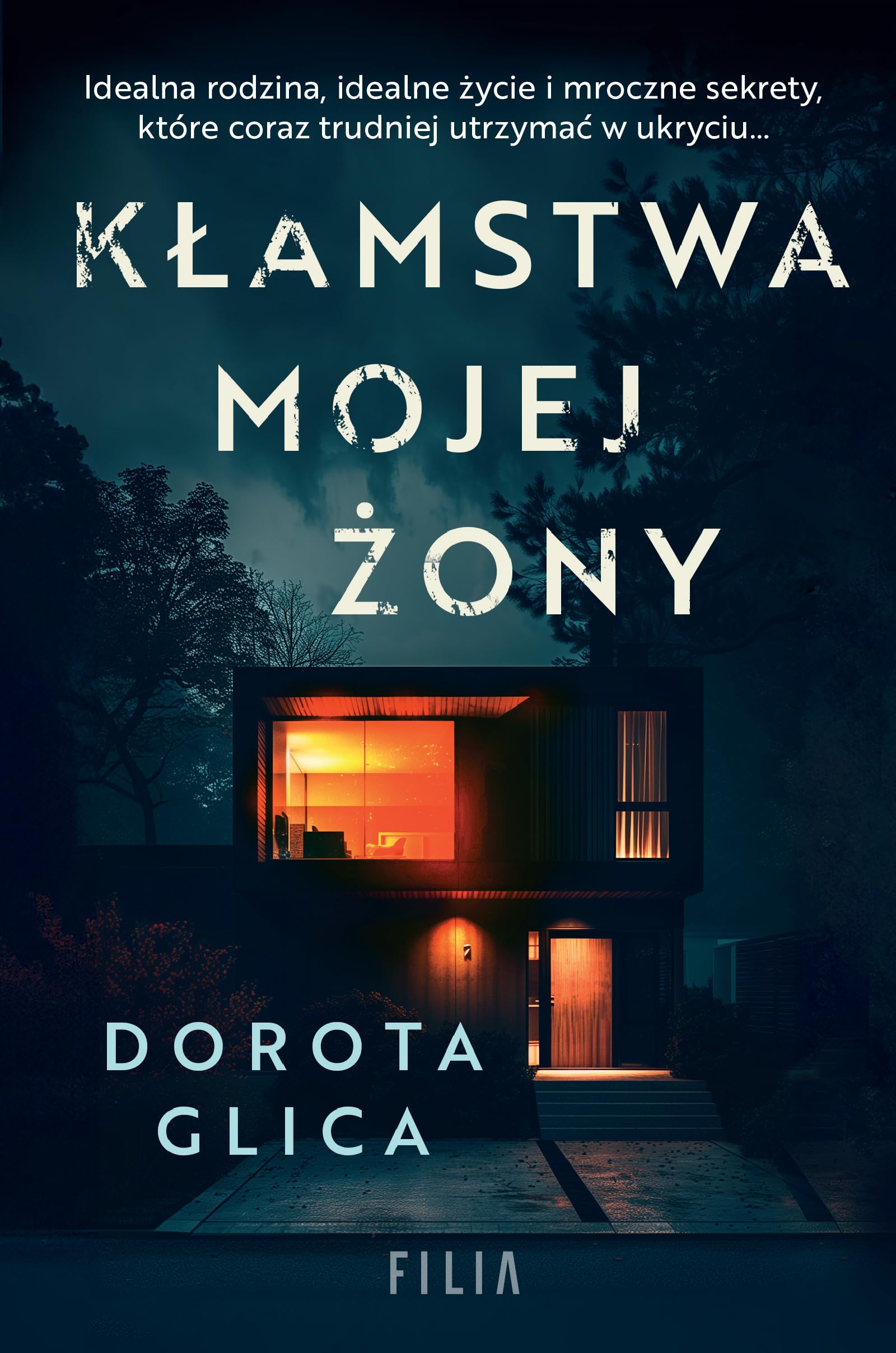 Kłamstwa mojej żony Books