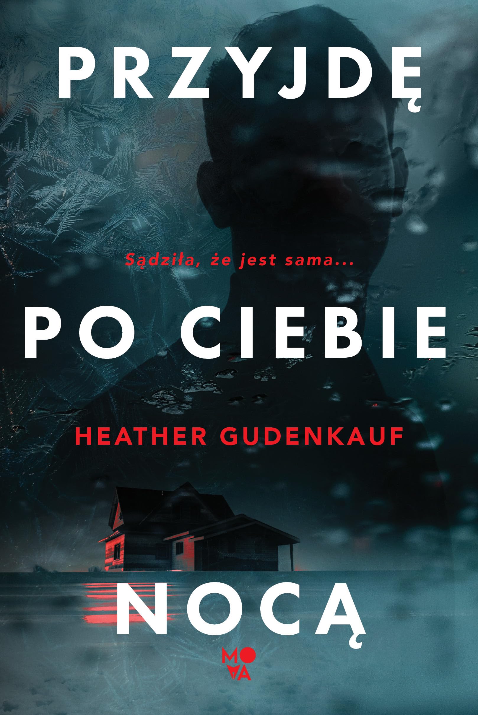 Przyjdę po ciebie nocą book